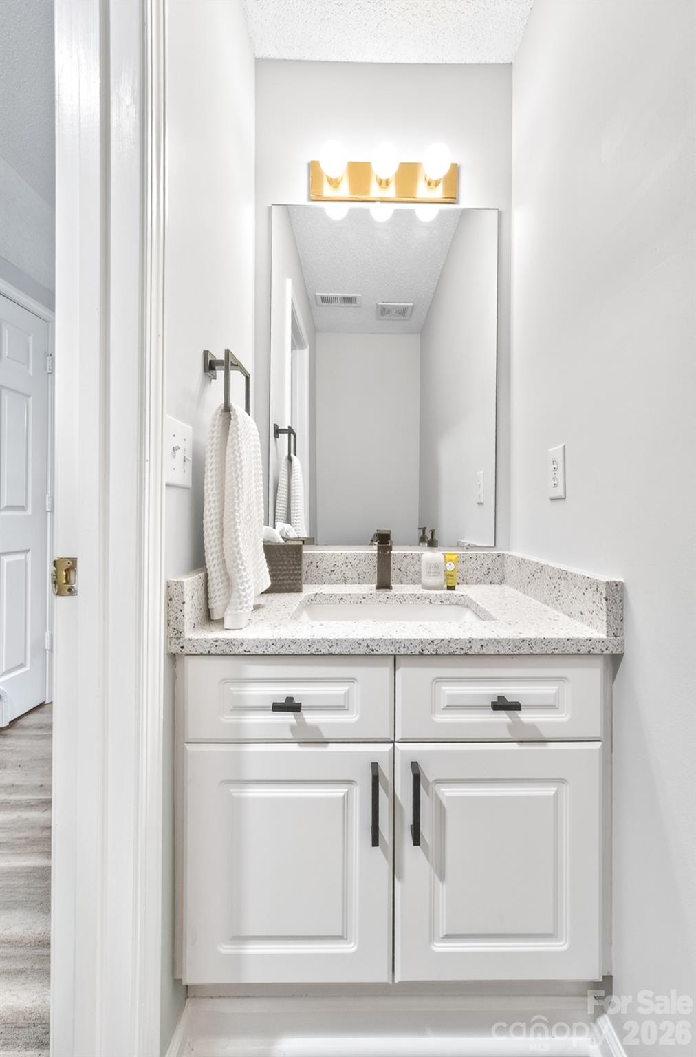 9712 Elizabeth Townes Lane — Charlotte