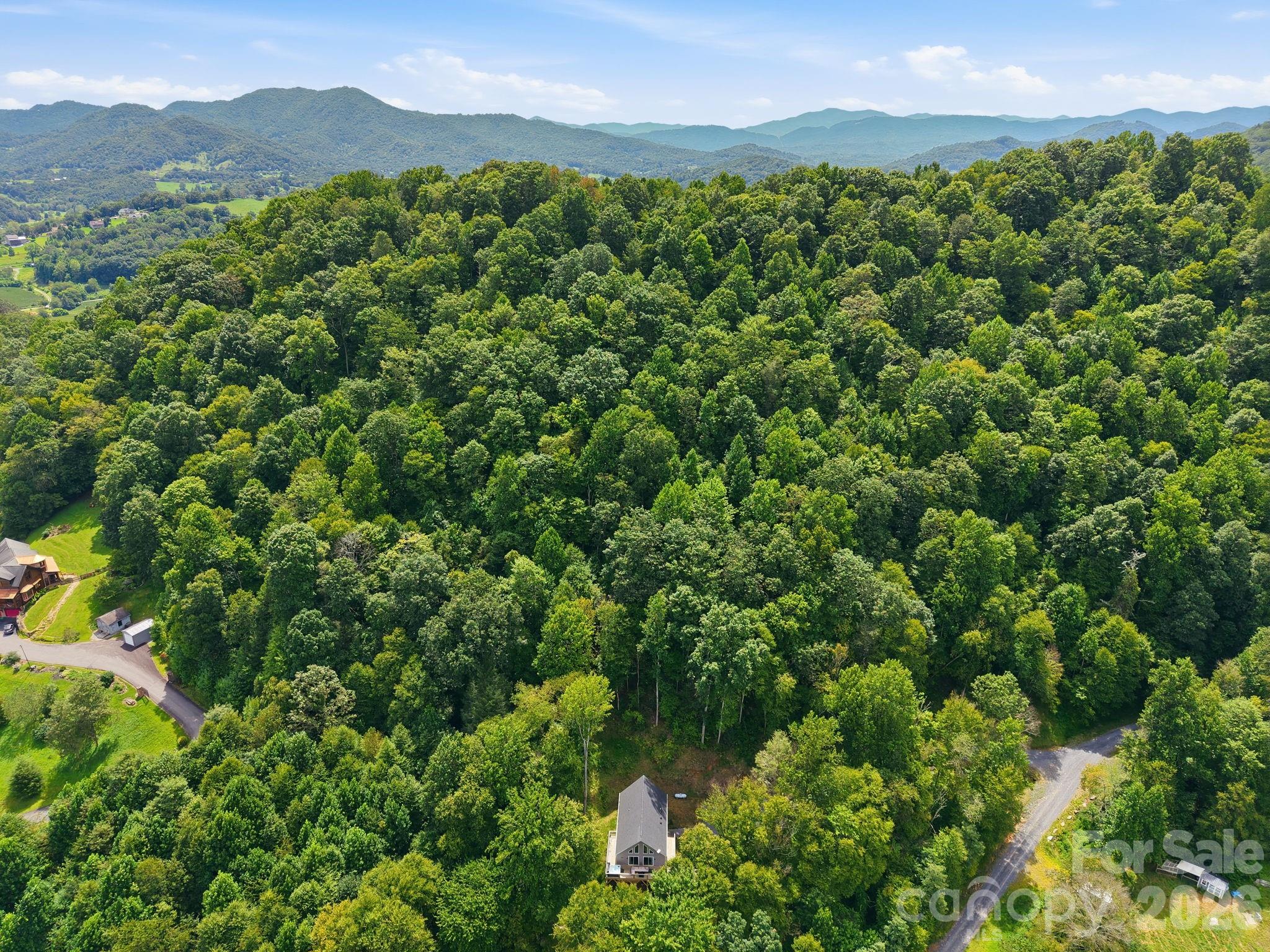 145 Banjo Lane — Waynesville