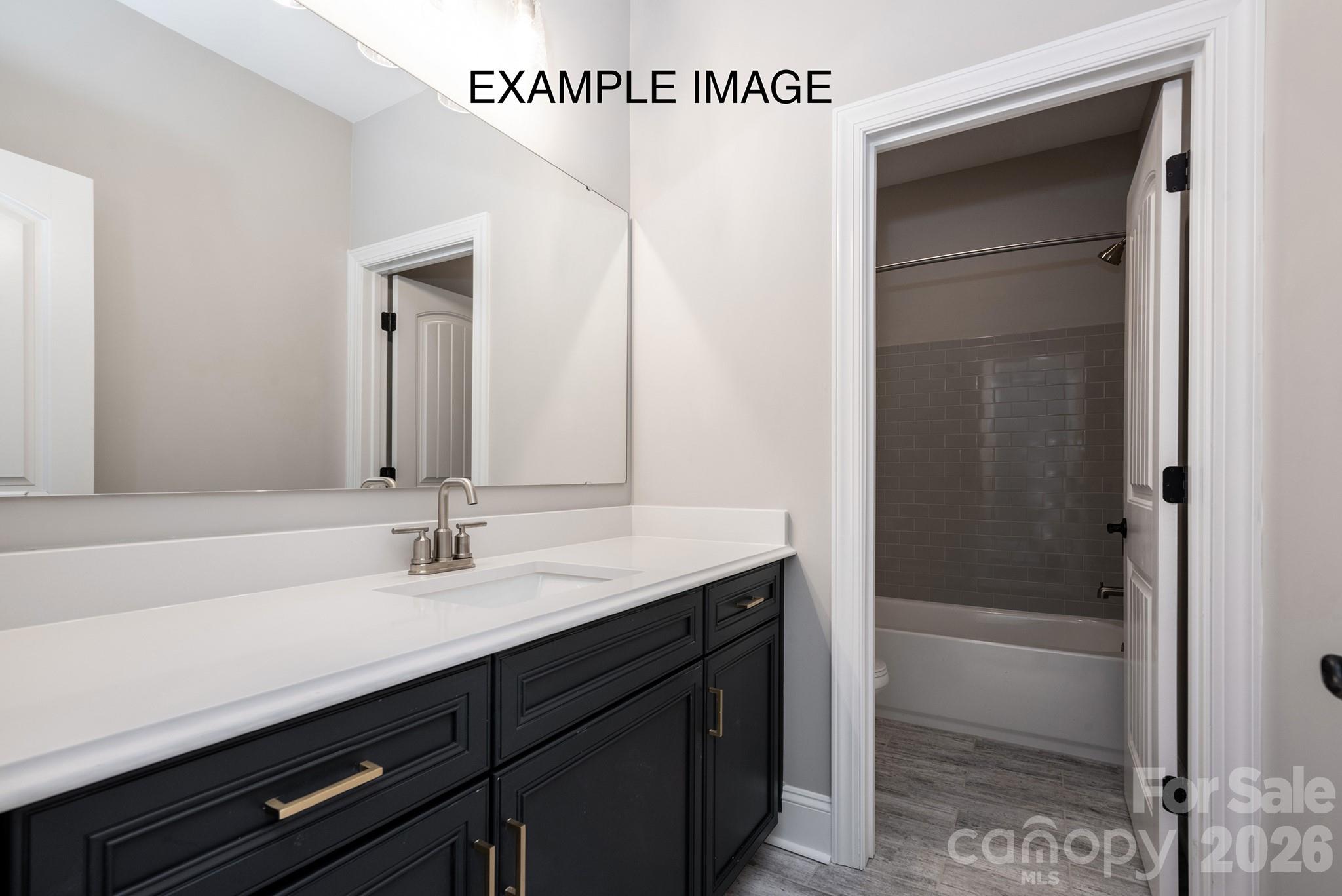 10919 Tyler Brook Lane #OAK0049 — Mint Hill