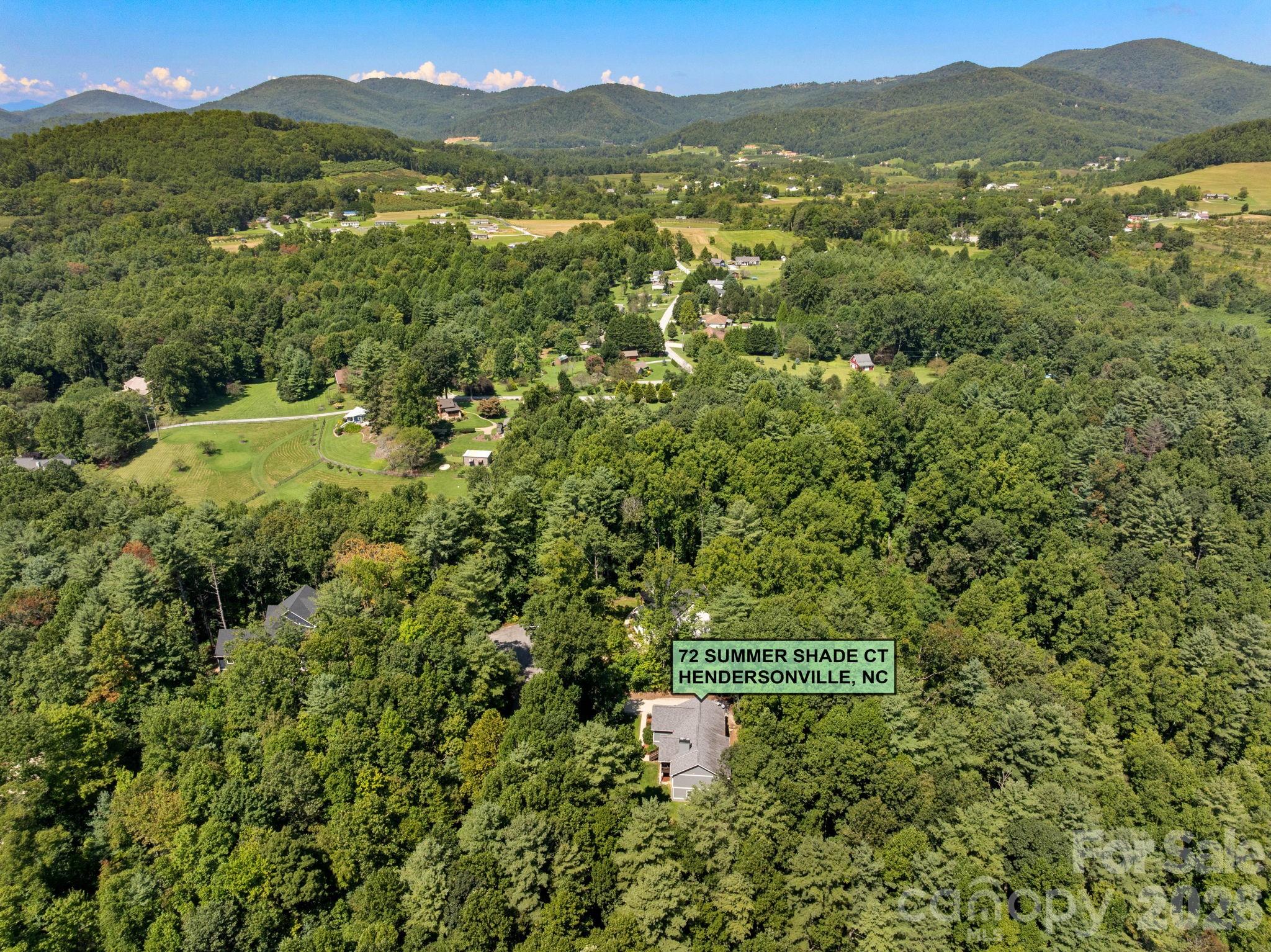 72 Summer Shade Court — Hendersonville