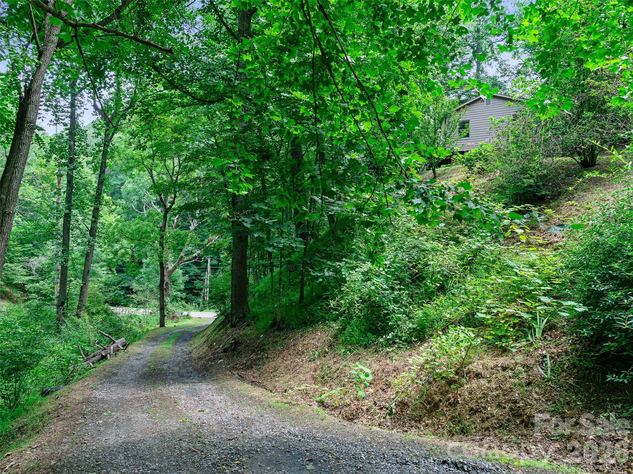 9851 Double Island Road — Green Mountain