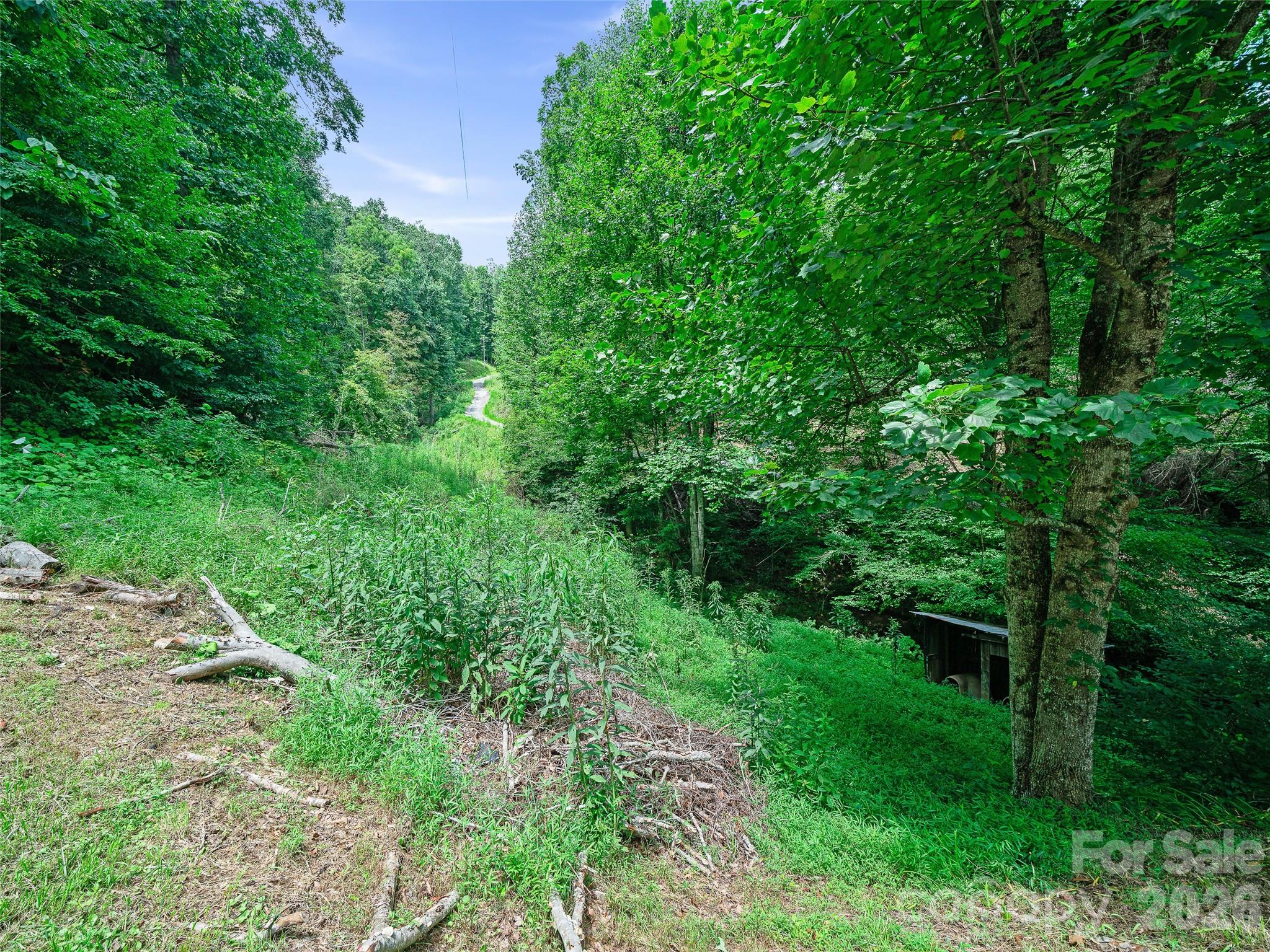 9851 Double Island Road — Green Mountain