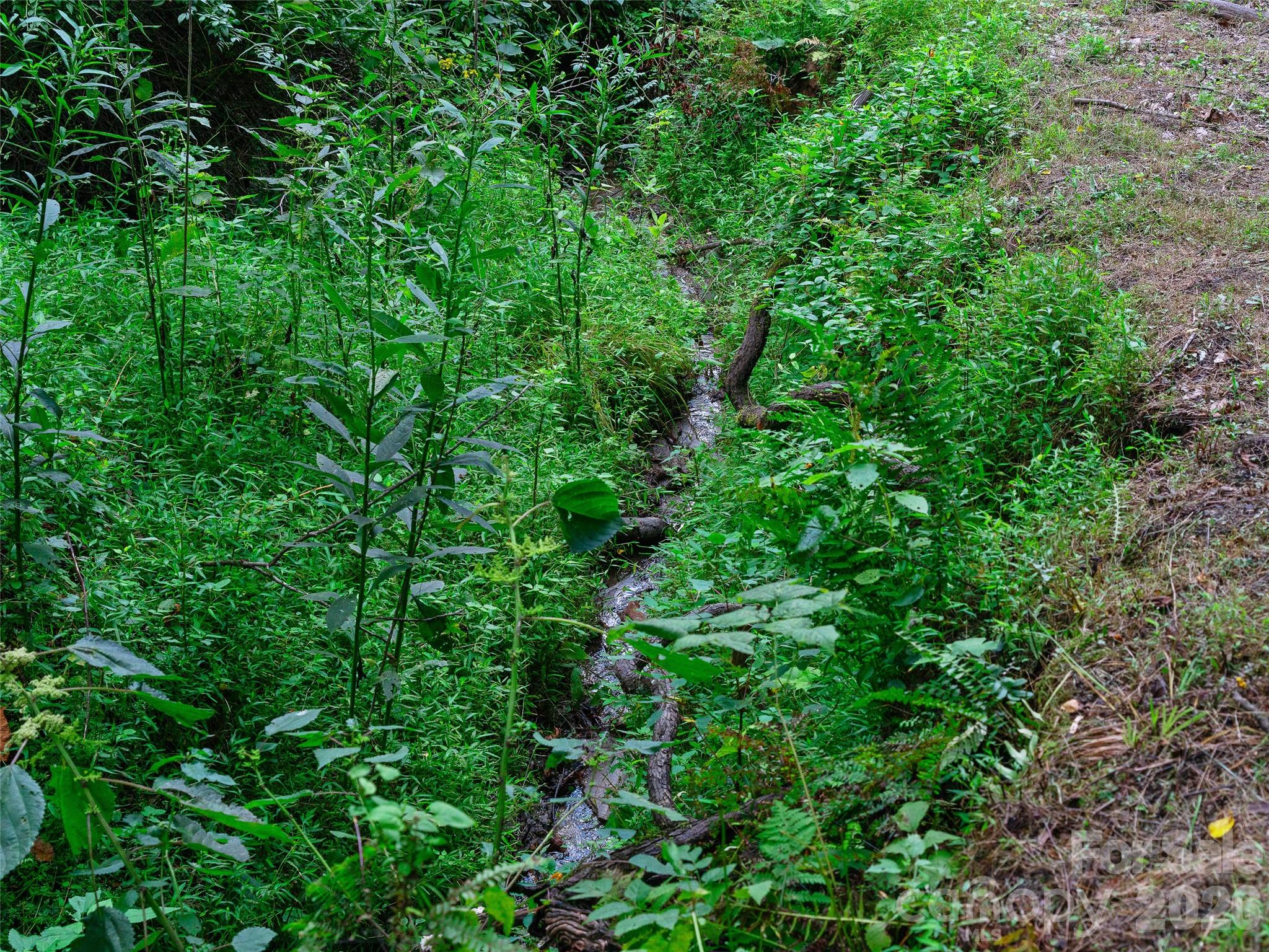 9851 Double Island Road — Green Mountain