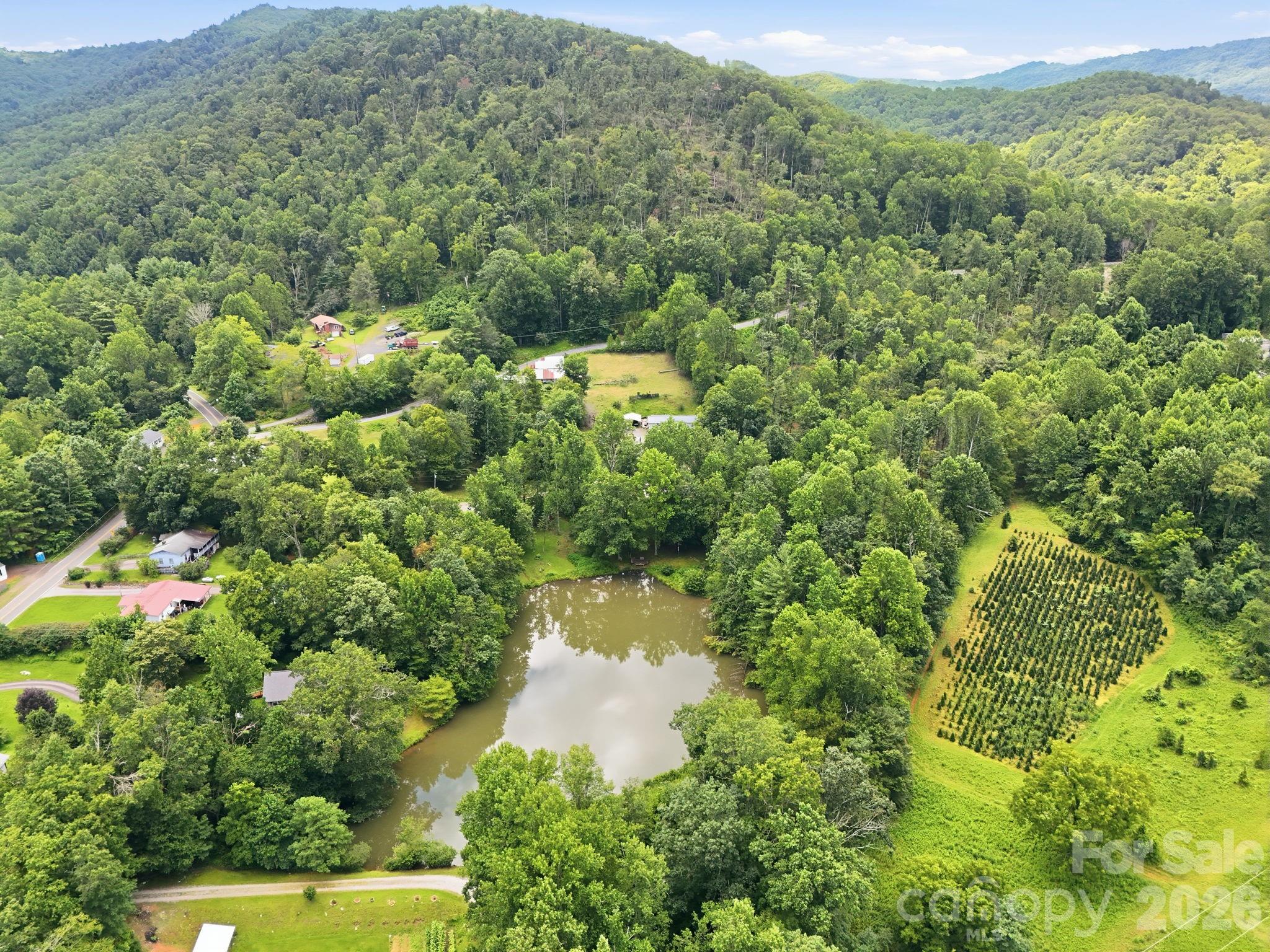 428 Hoot Owl Road — Spruce Pine