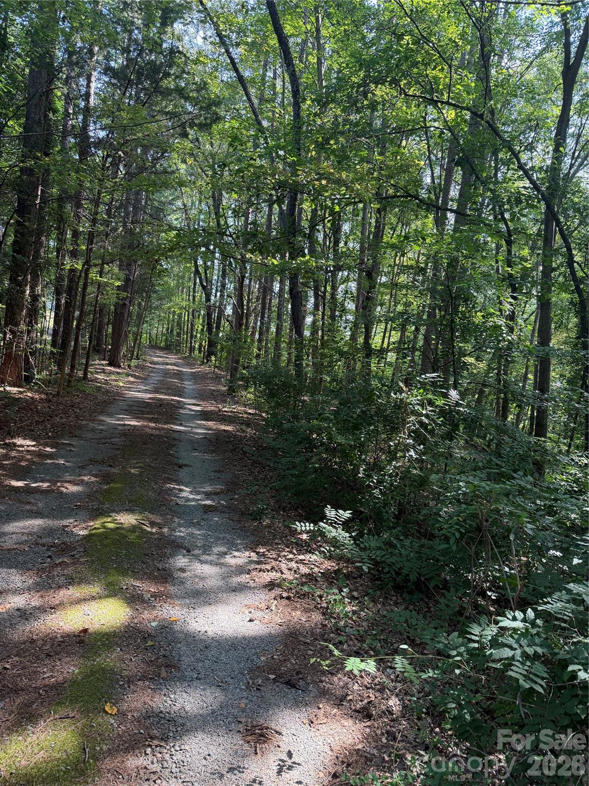 202 Horseshoe Lake Road — Mount Holly