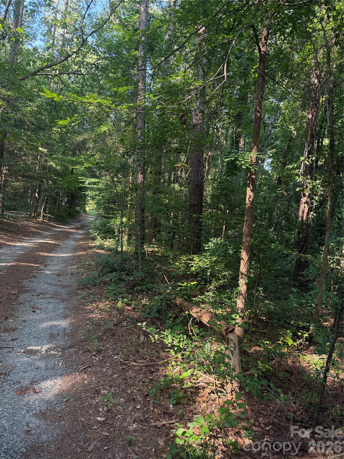 202 Horseshoe Lake Road — Mount Holly