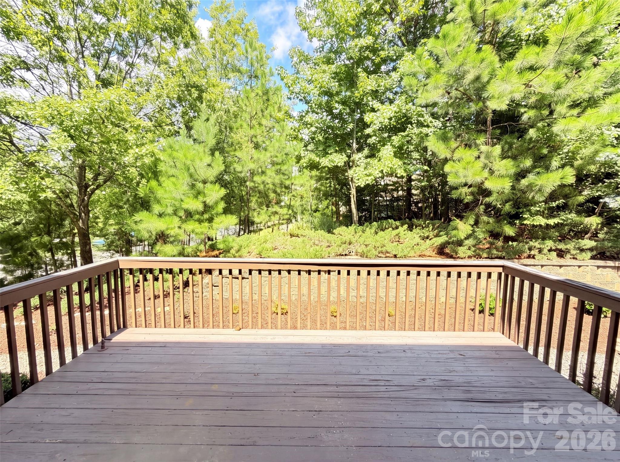 9928 Daufuskie Drive — Charlotte