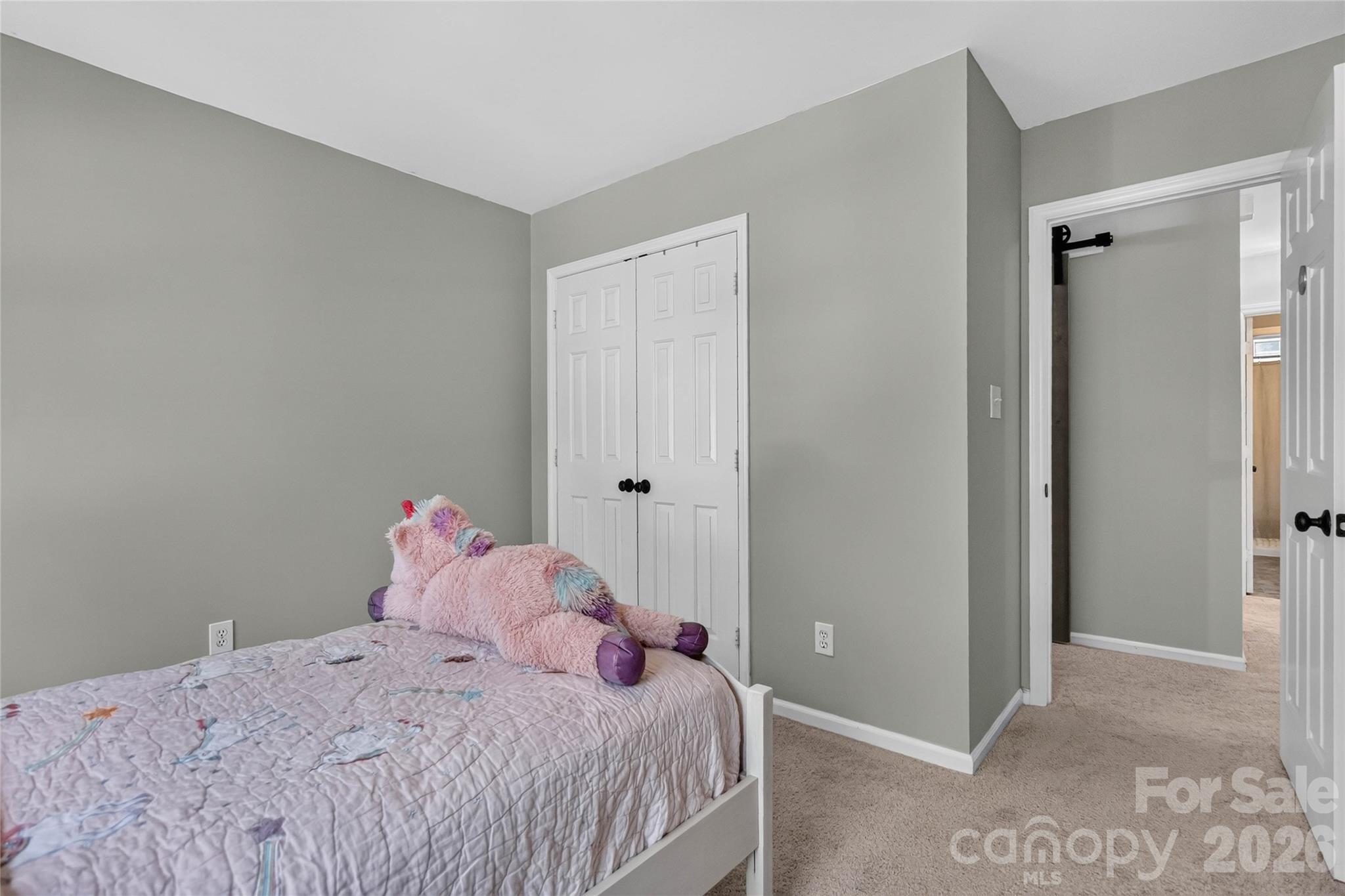 8914 Raven Park Drive — Charlotte