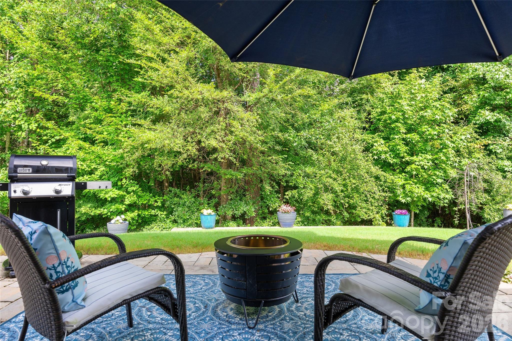 14114 Goldenrod Trace Road — Charlotte