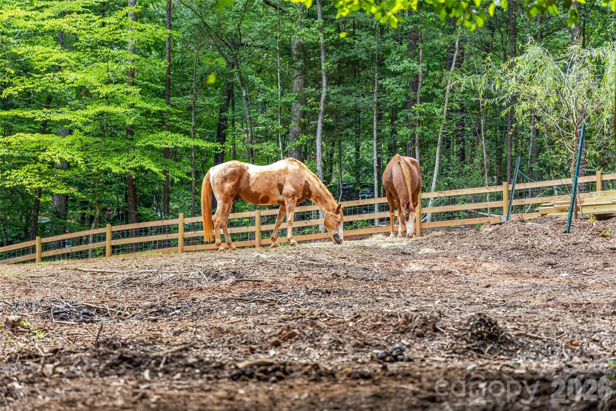 7105 Old Ridge Road — Waxhaw