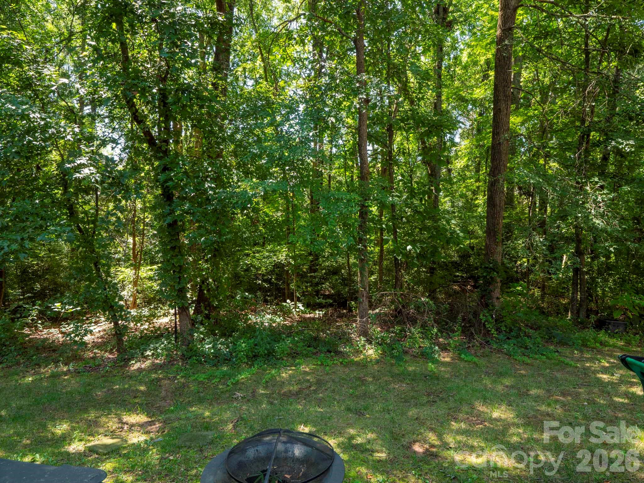 10747 Essex Hall Drive — Charlotte