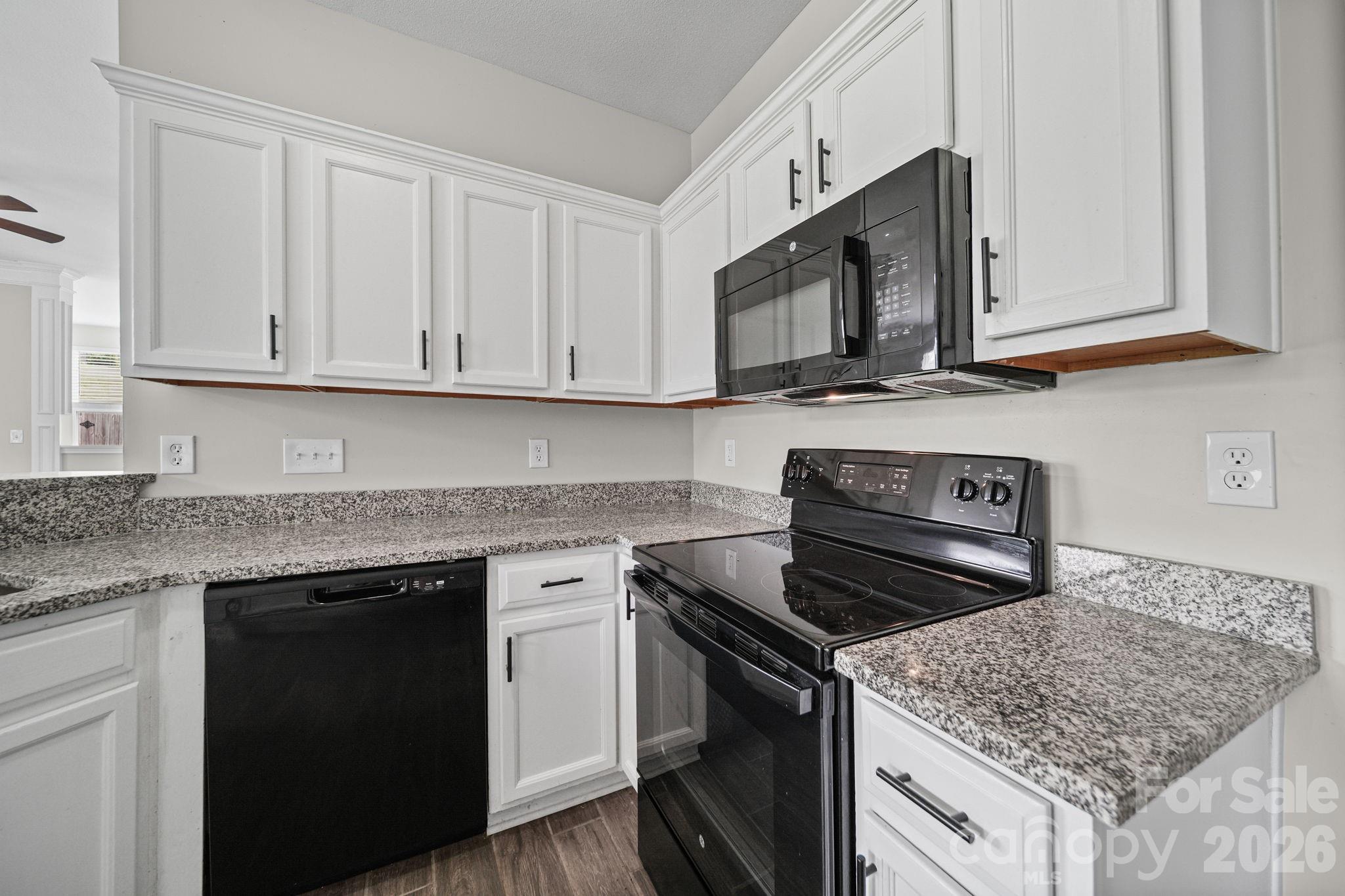 8246 Weeping Fig Lane — Charlotte