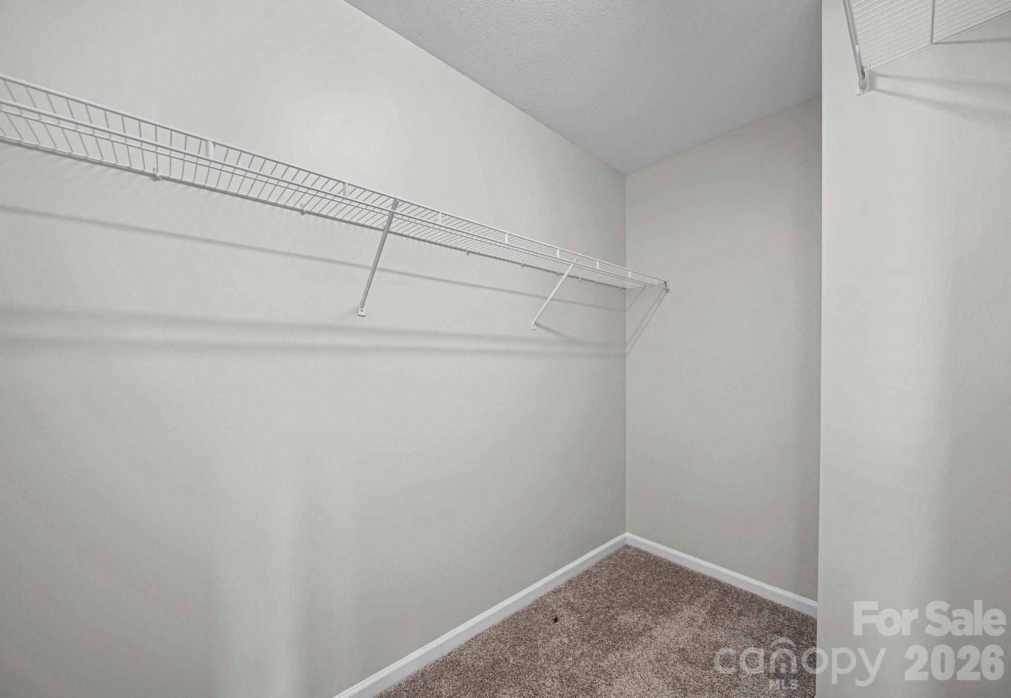 8246 Weeping Fig Lane — Charlotte