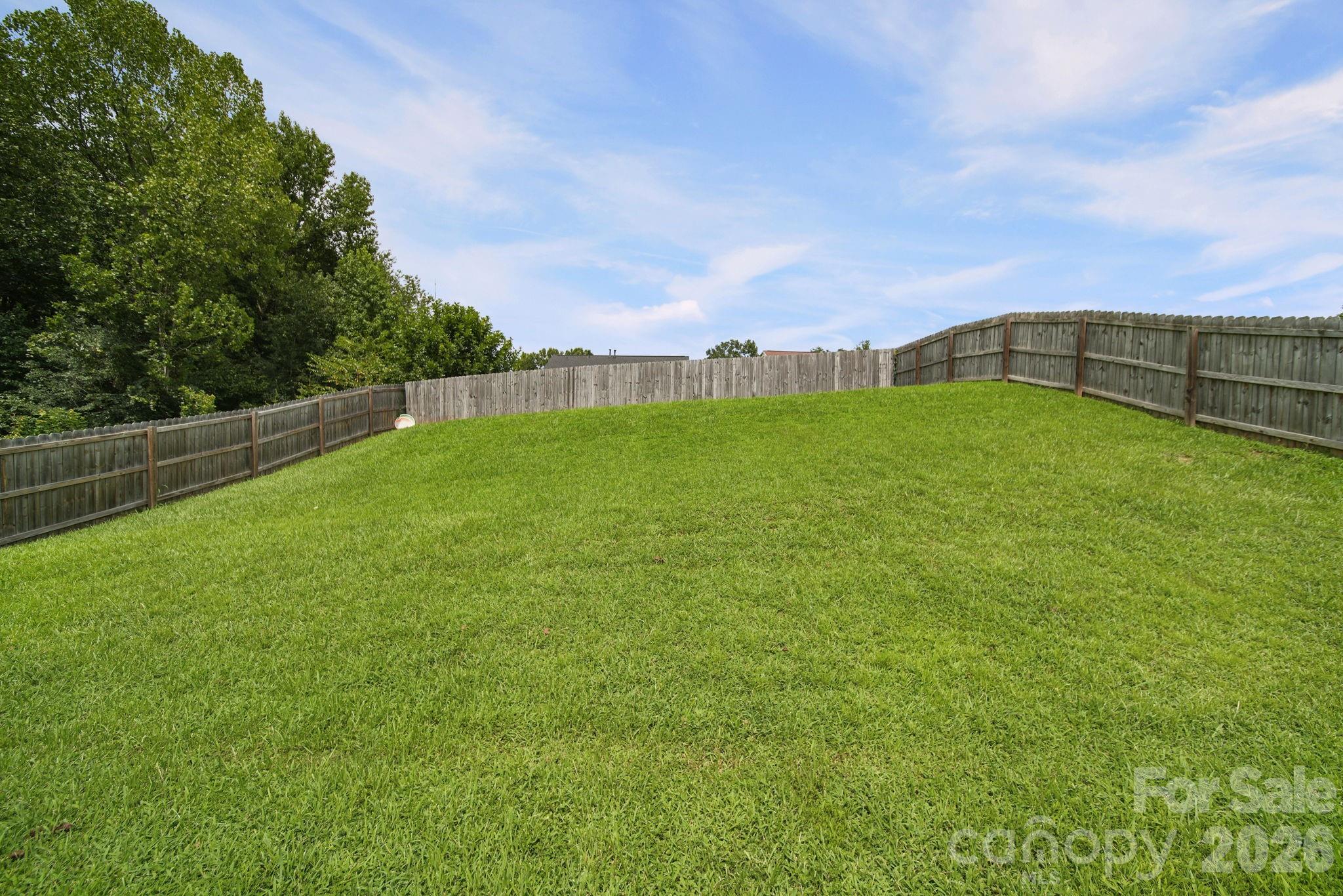 8246 Weeping Fig Lane — Charlotte