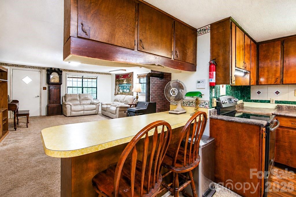 901 Rufus Robinson Road — Sylva