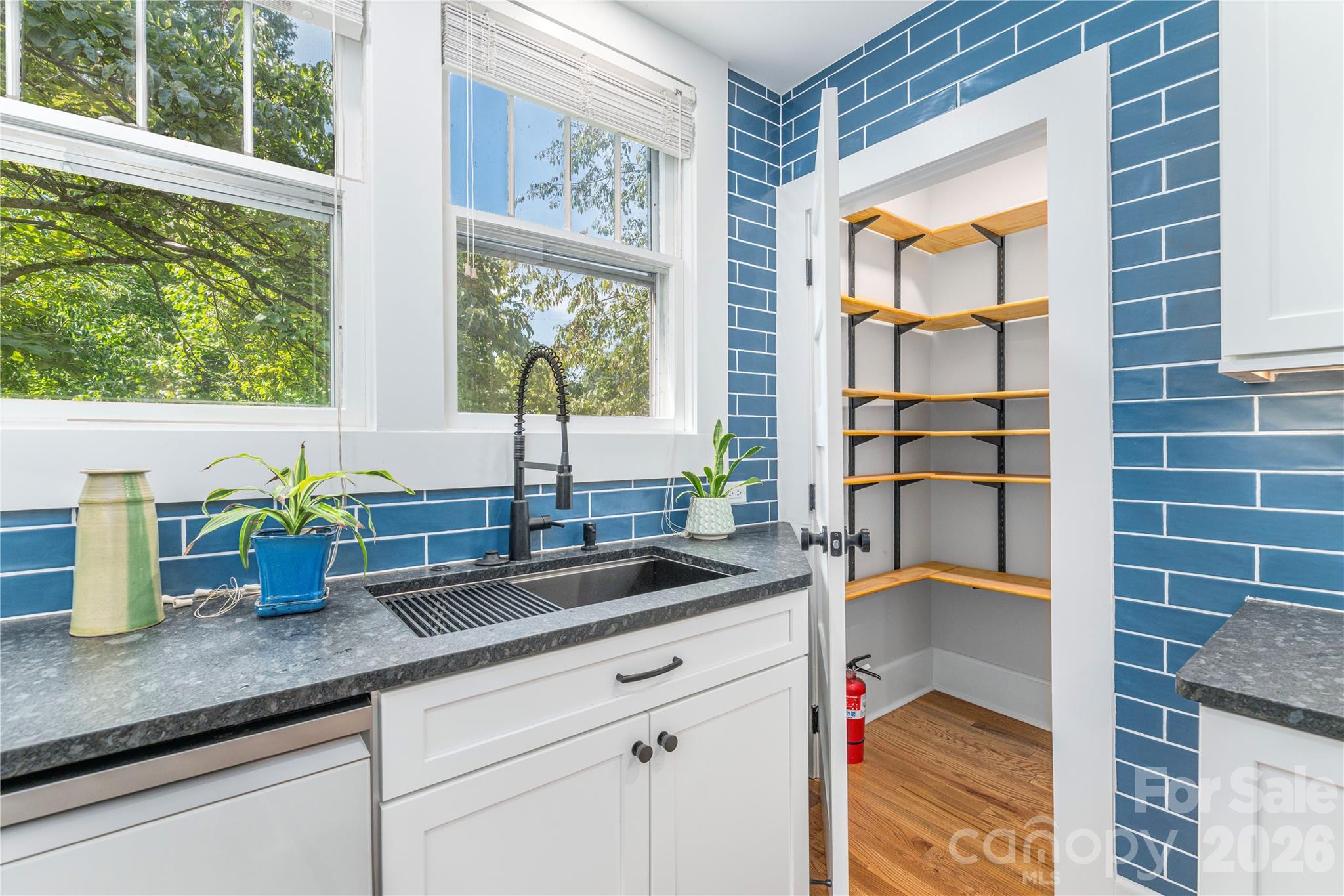6 Birch Street — Asheville