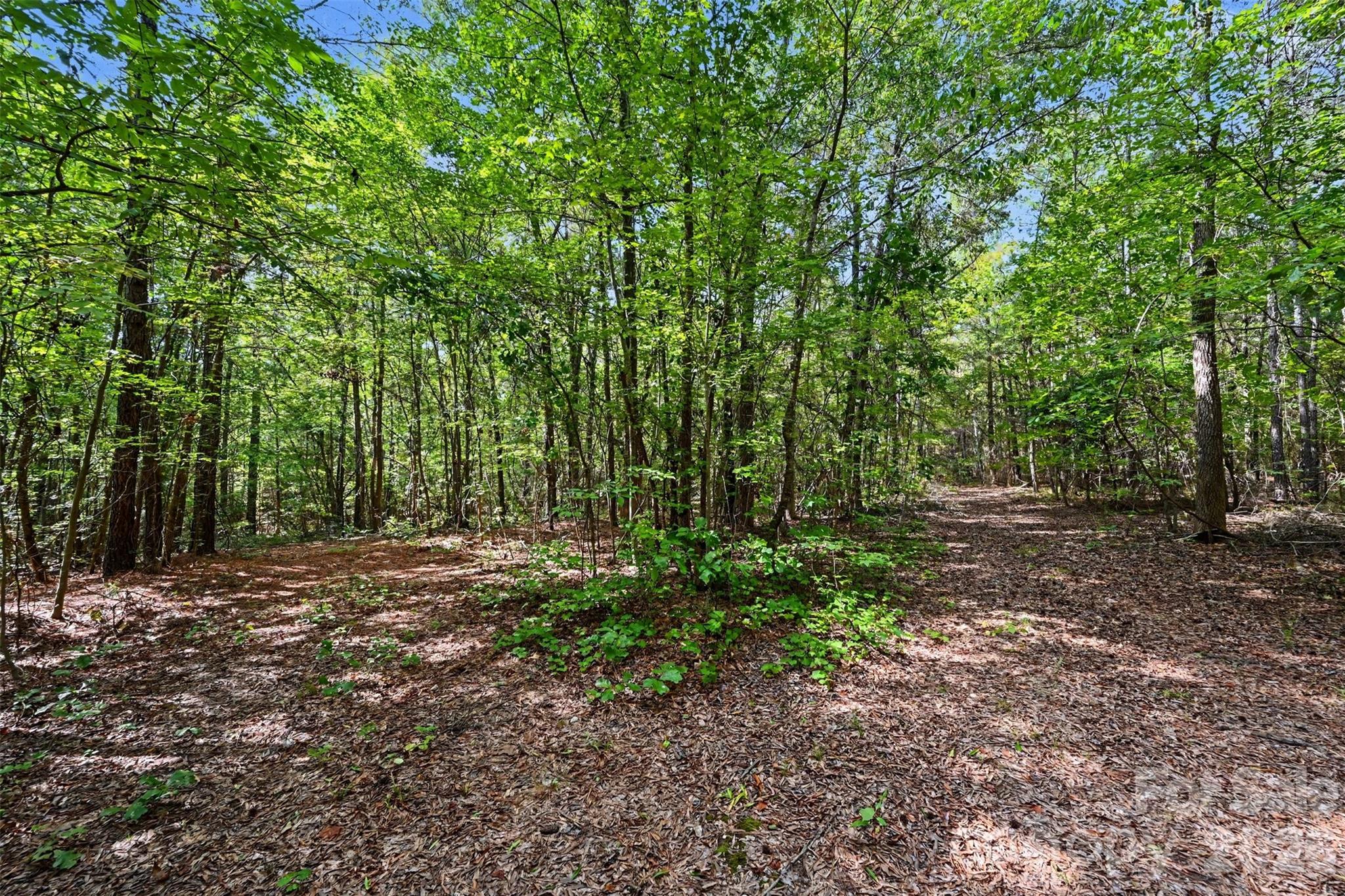2223 Camp Creek Road — Lancaster