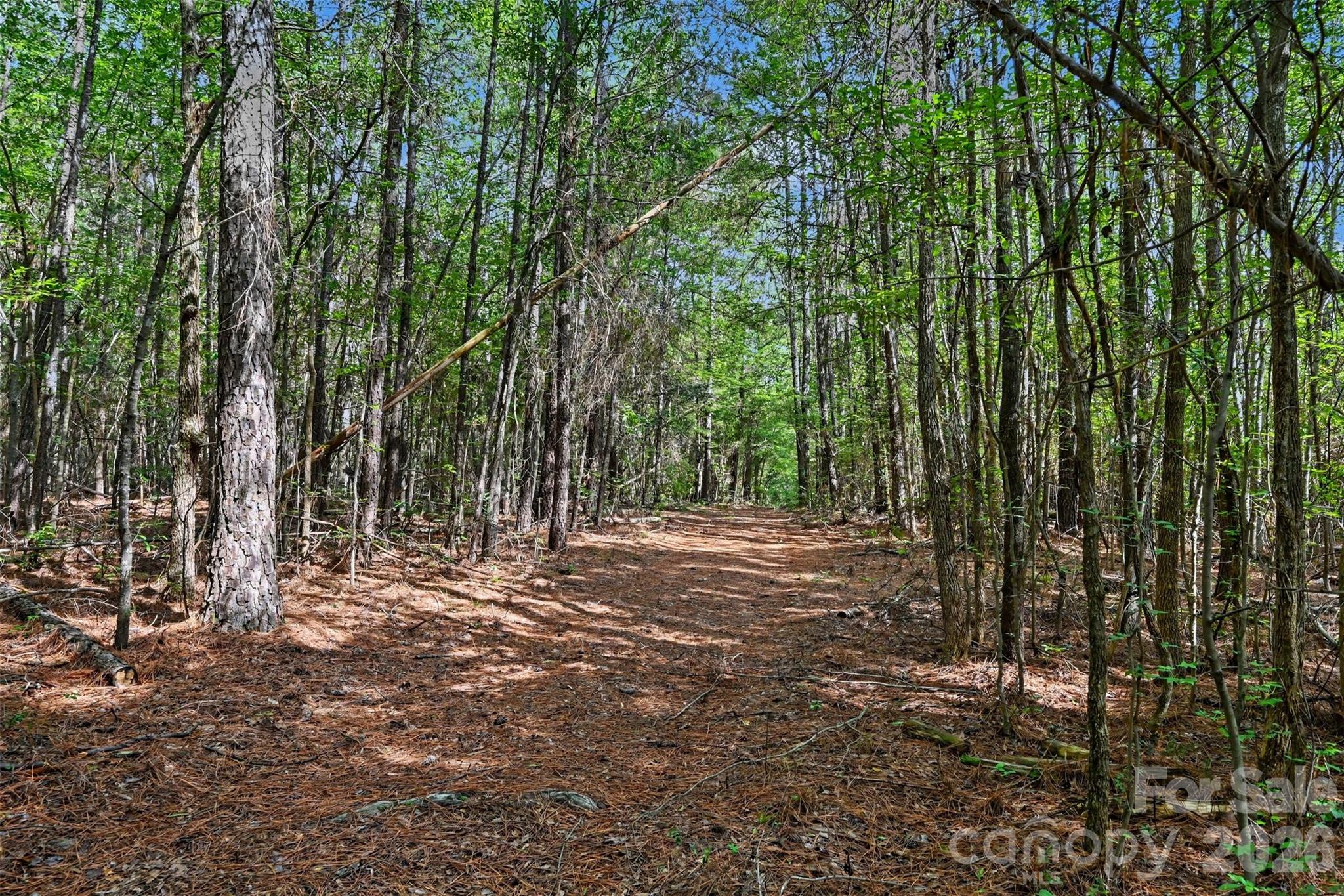 2223 Camp Creek Road — Lancaster