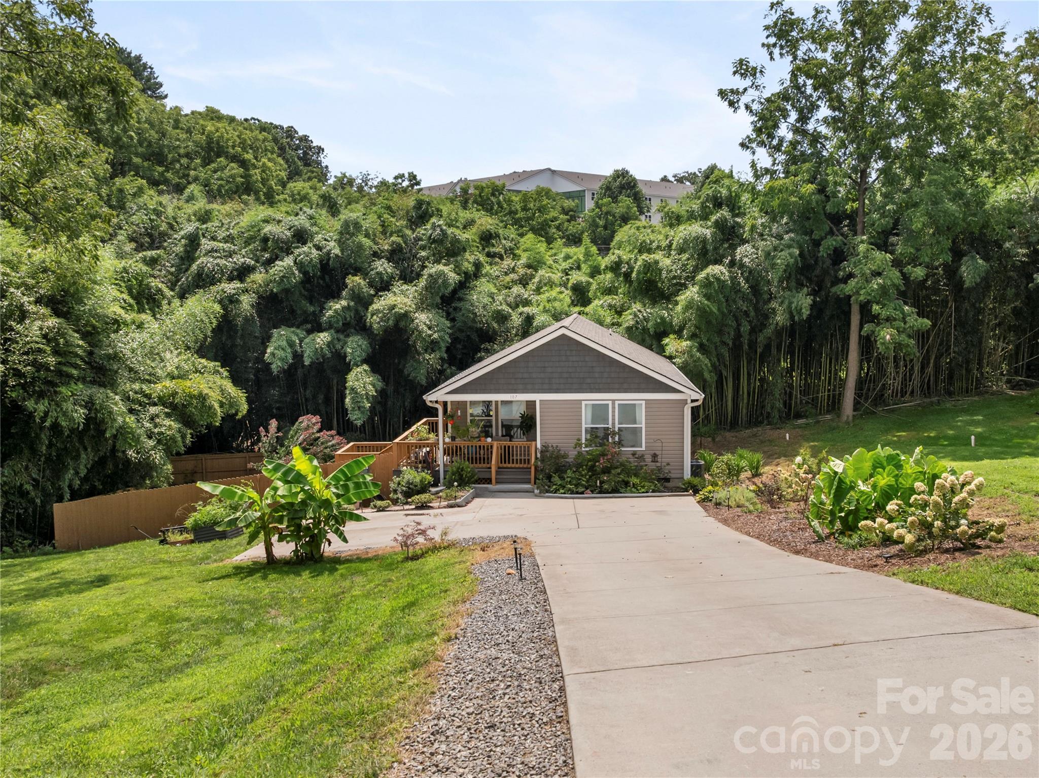 107 Forest Street — Asheville