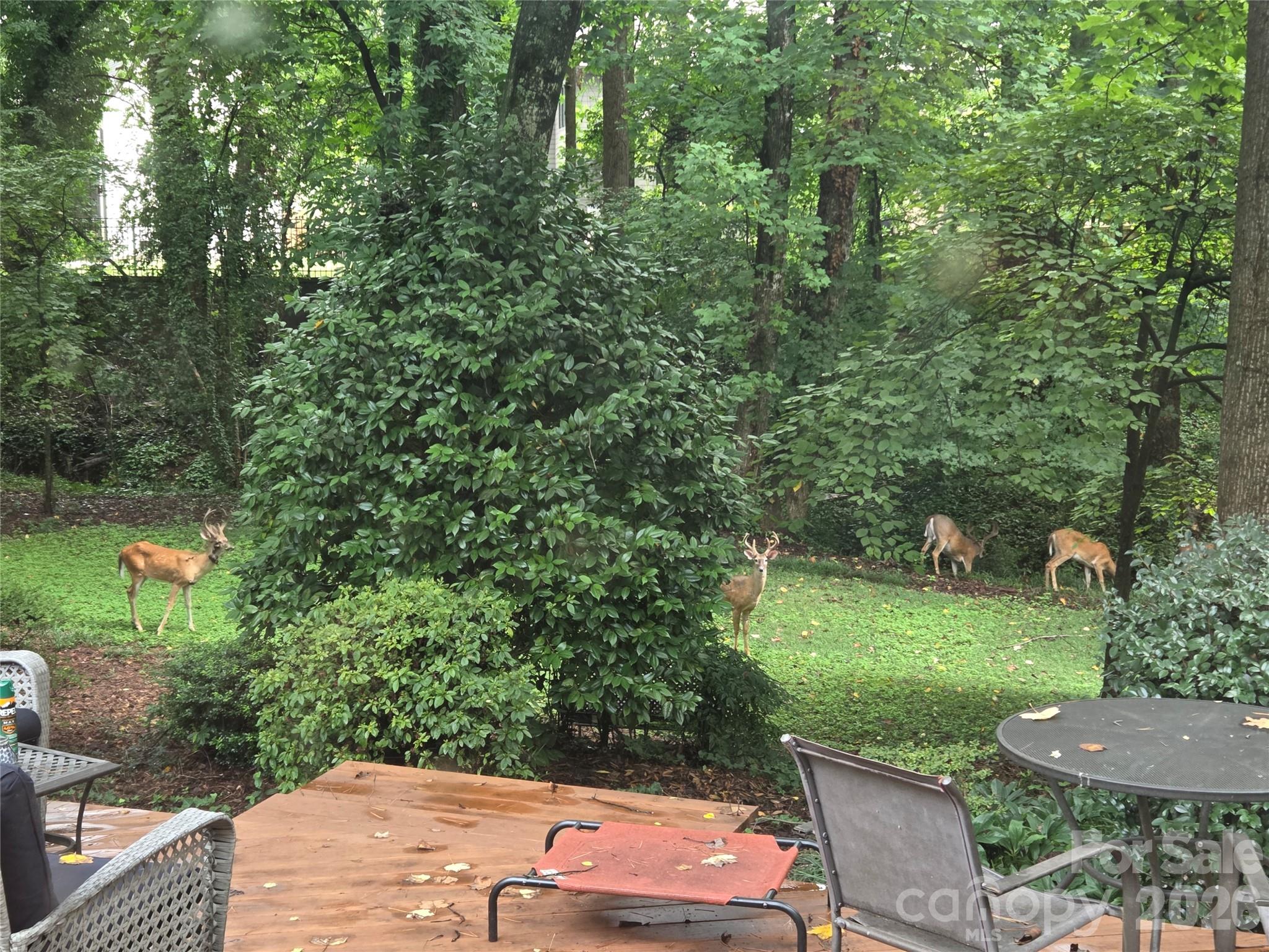 6123 Page Court — Charlotte