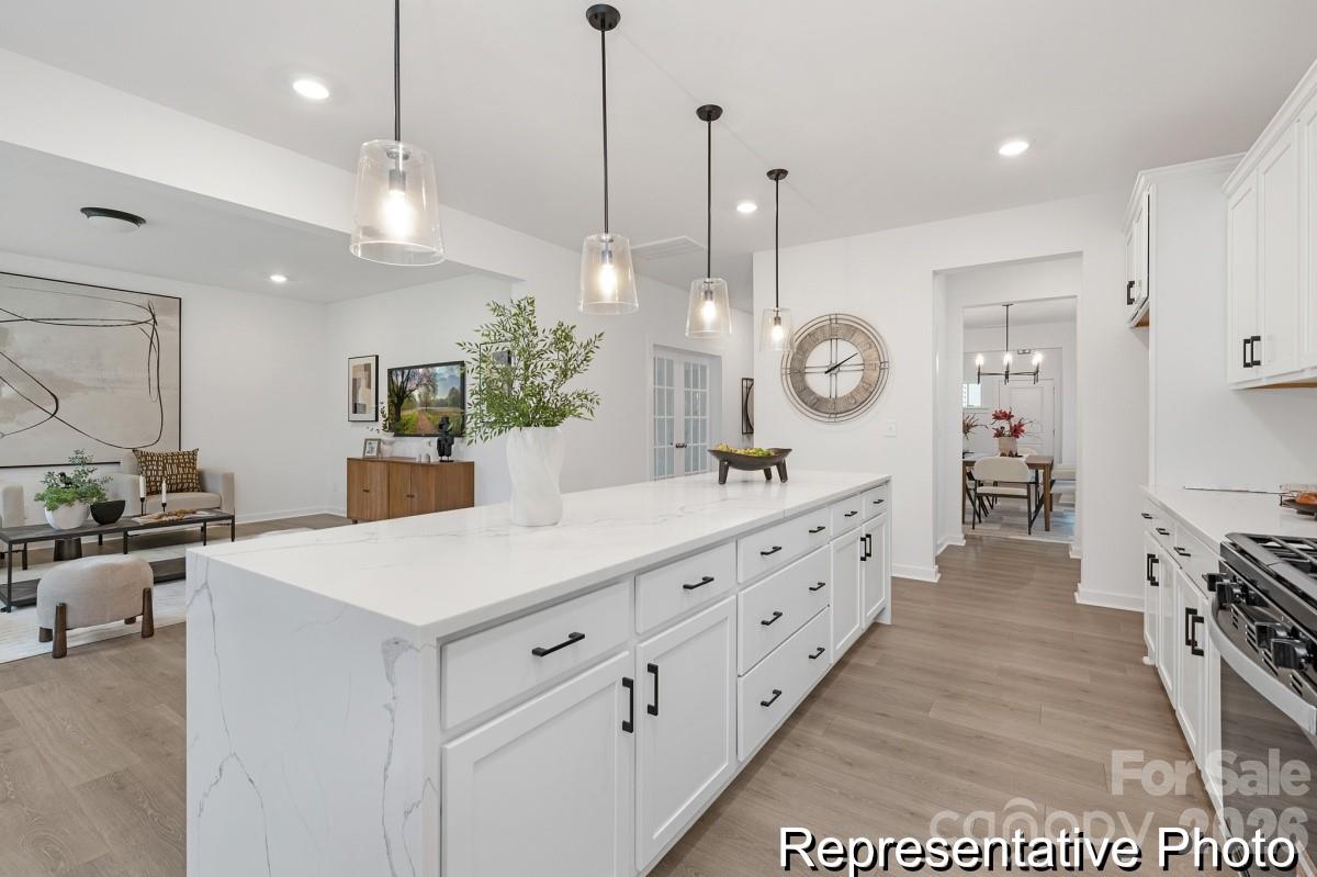 155 Tangle River Drive #44 — Statesville