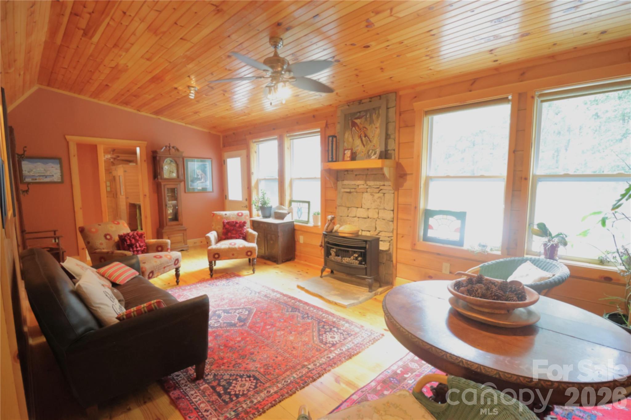 141 Owl Haven Lane — Cedar Mountain