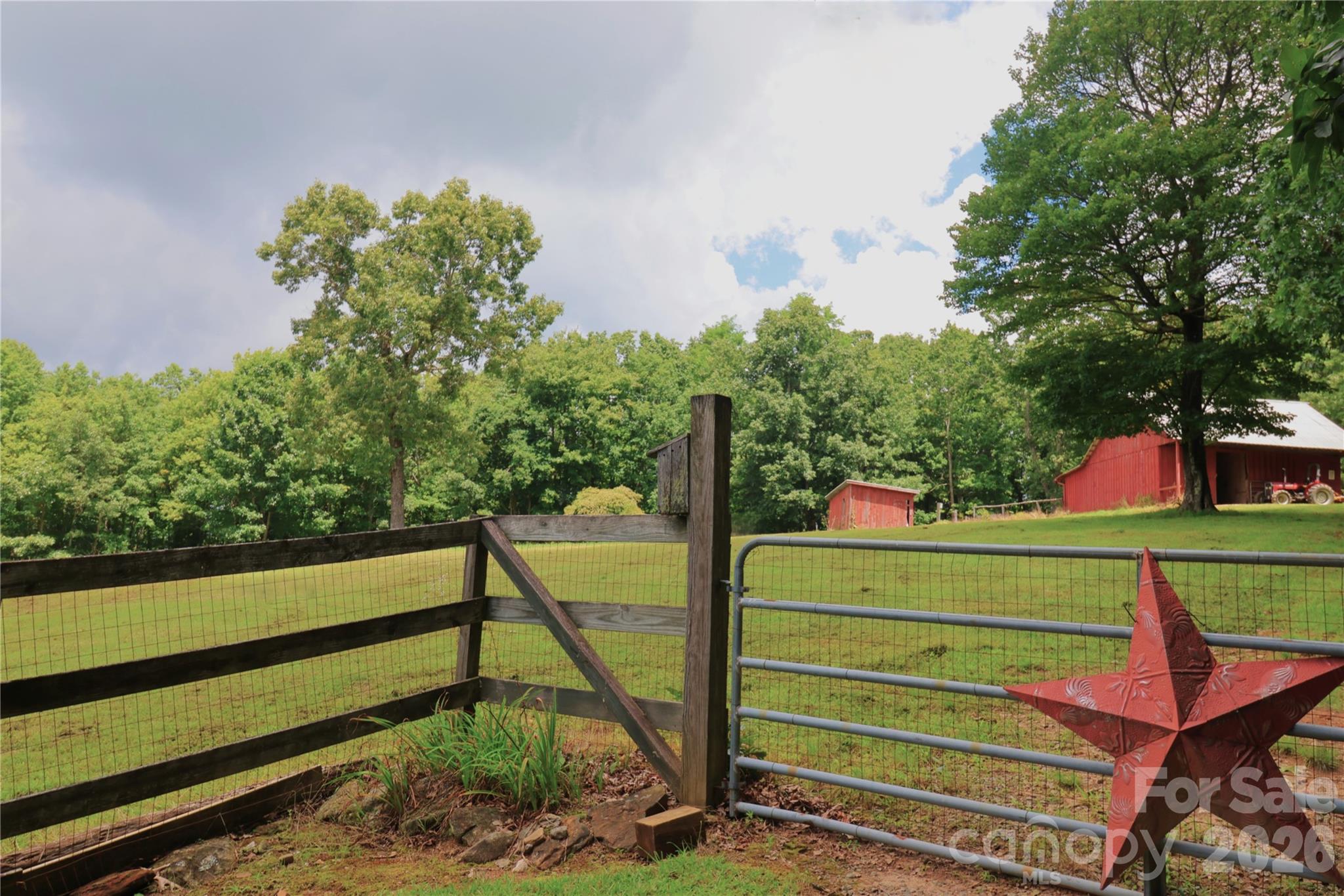 141 Owl Haven Lane — Cedar Mountain