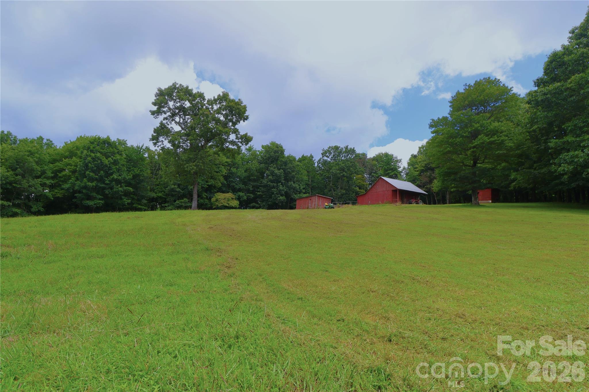141 Owl Haven Lane — Cedar Mountain