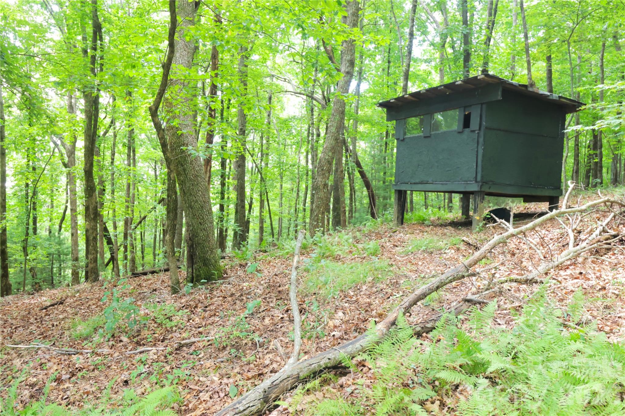 141 Owl Haven Lane — Cedar Mountain