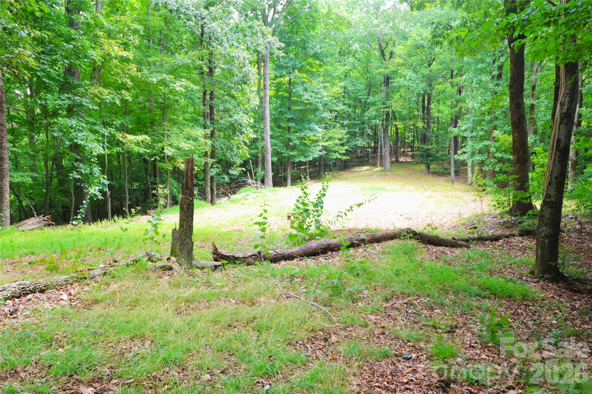 141 Owl Haven Lane — Cedar Mountain