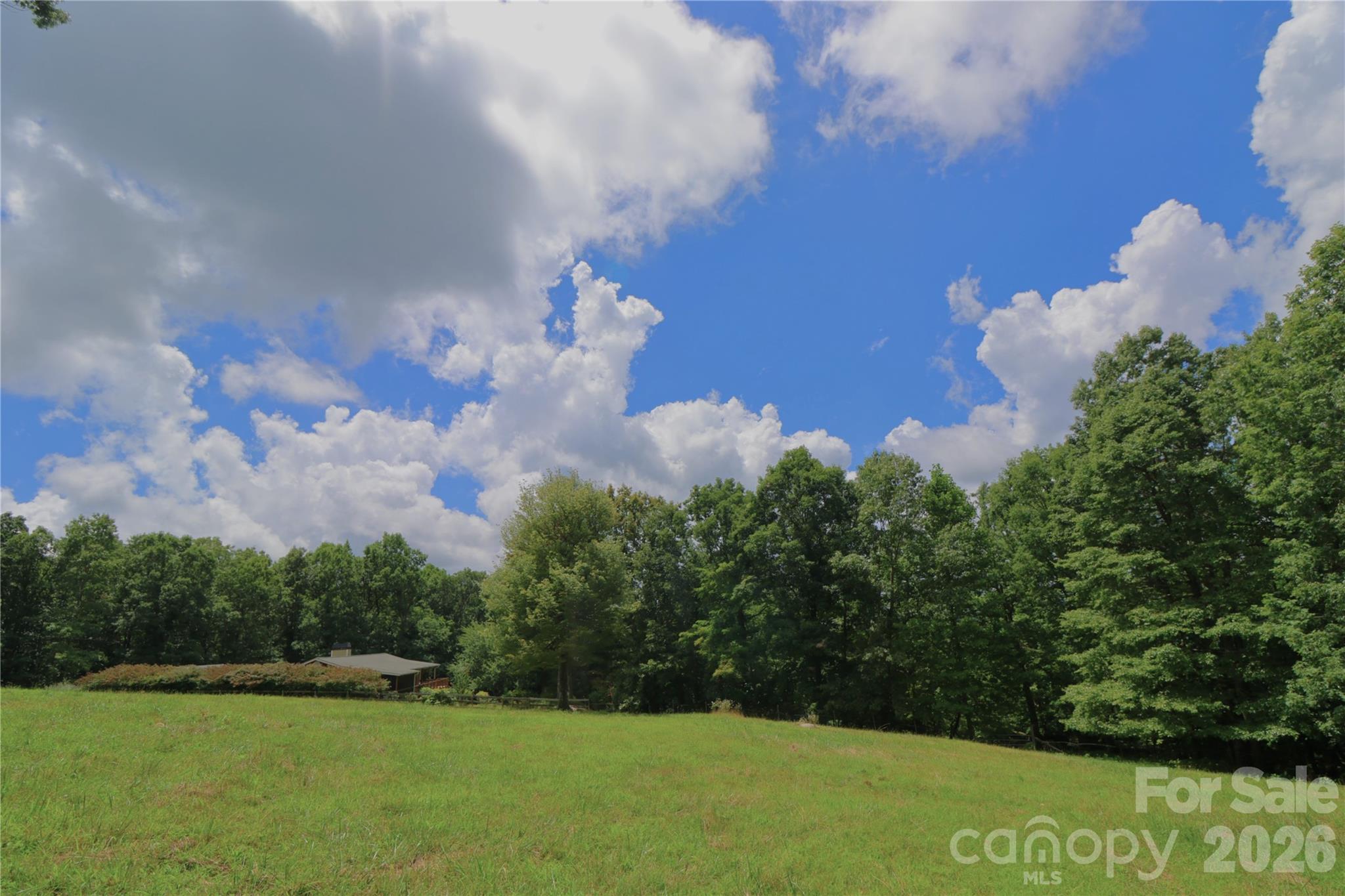 141 Owl Haven Lane — Cedar Mountain