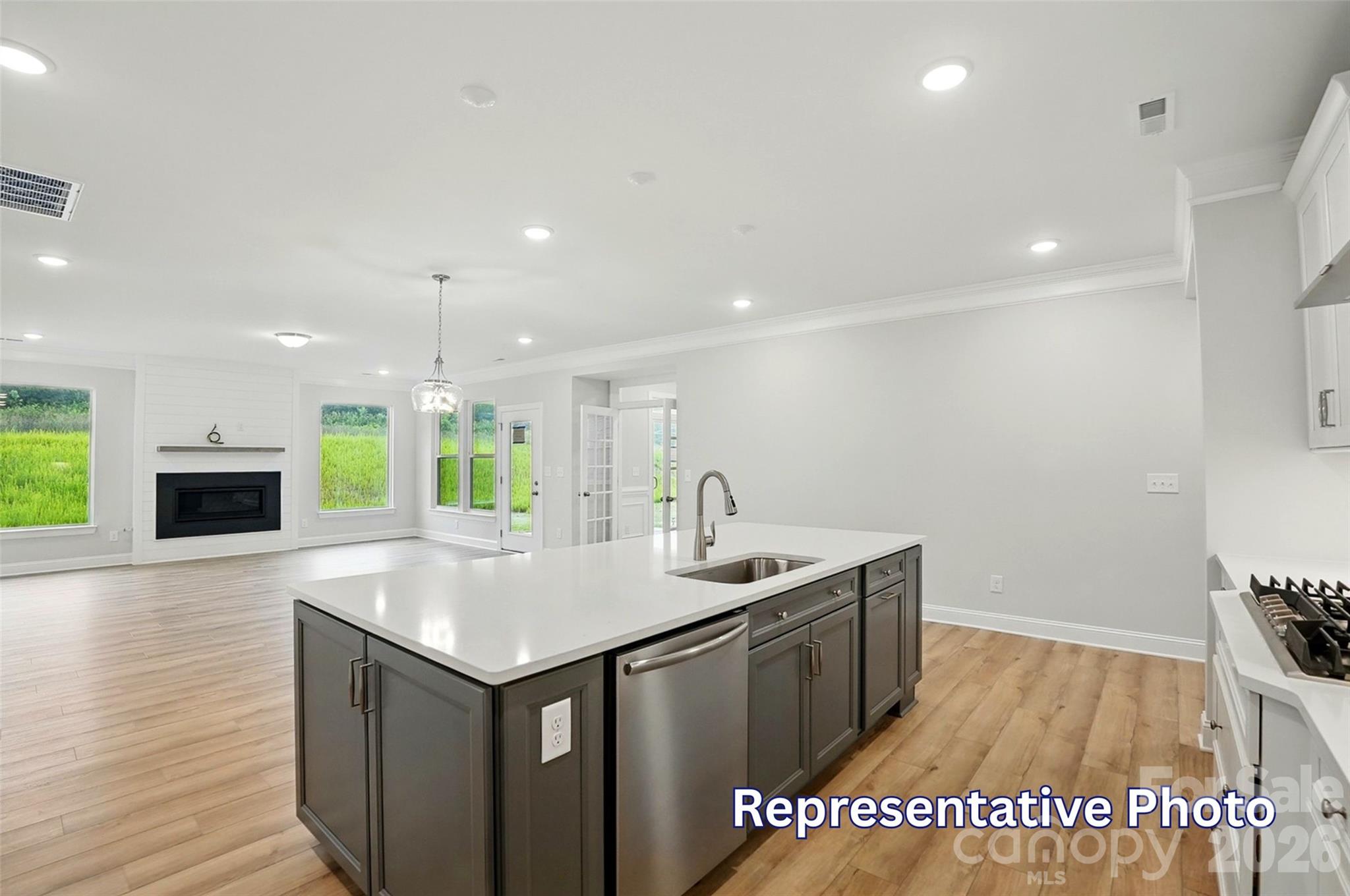 4007 Cedar Falls Drive — Waxhaw