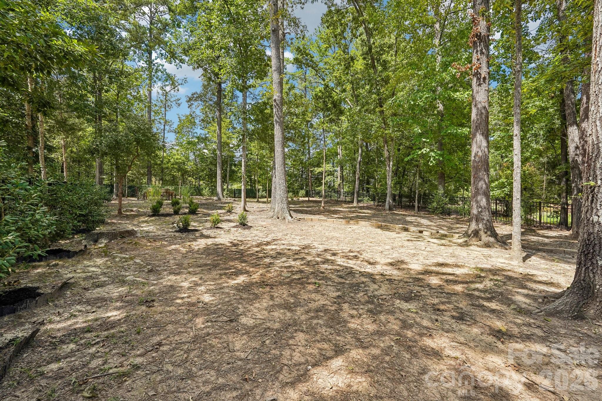 10823 Persimmon Creek Drive — Charlotte