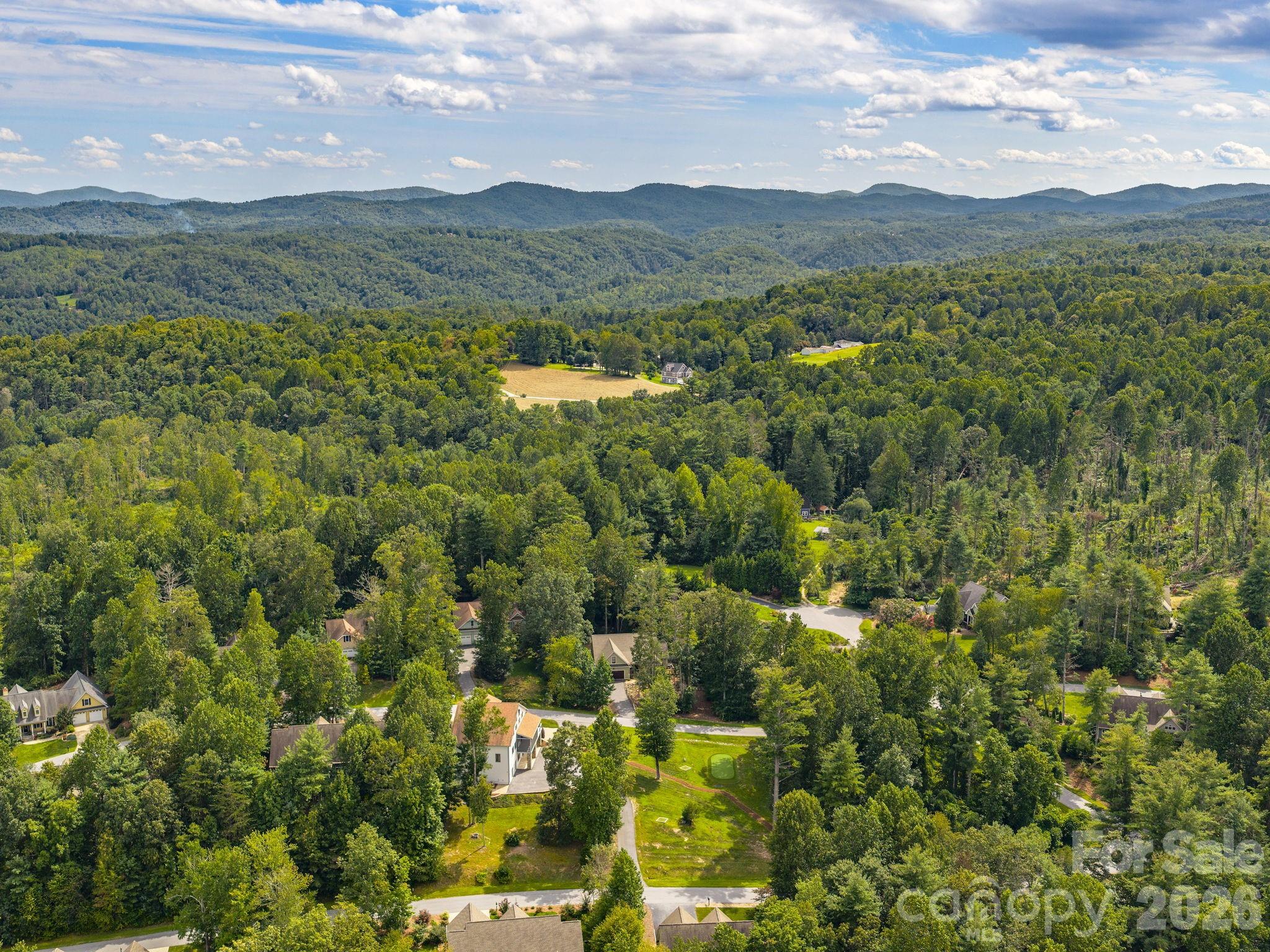 248 Wisdom Cove Road — Flat Rock
