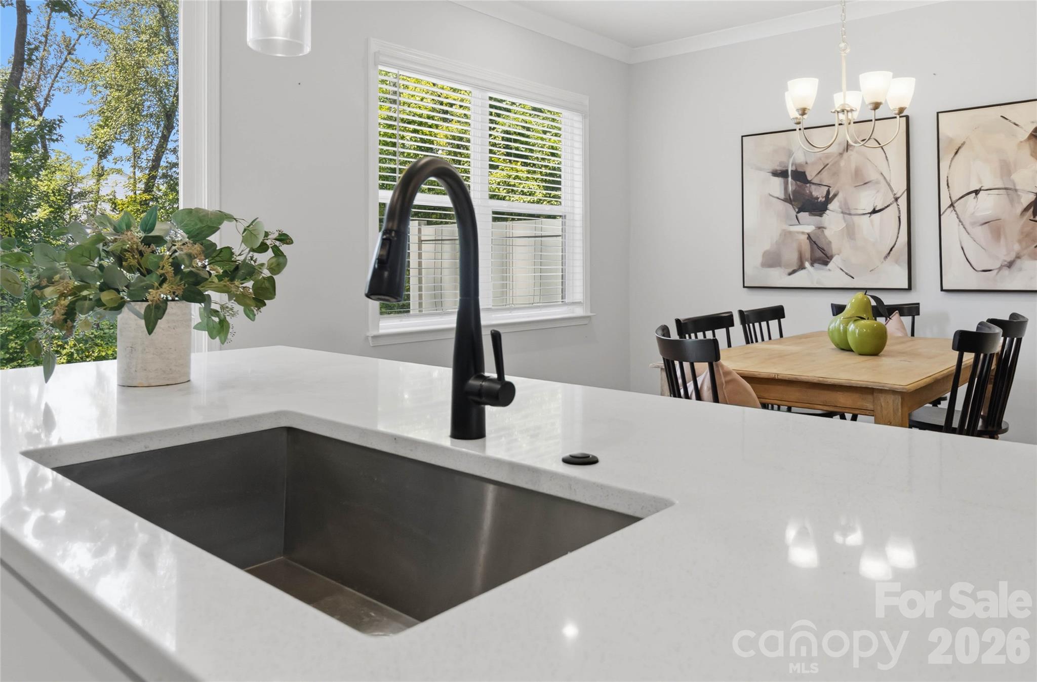 5320 Somerset Hill Lane — Charlotte