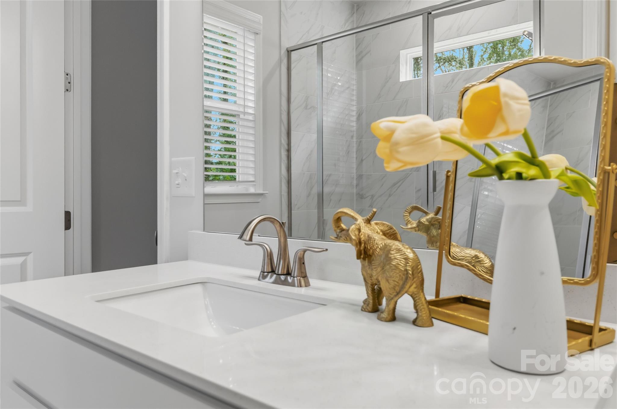 5320 Somerset Hill Lane — Charlotte