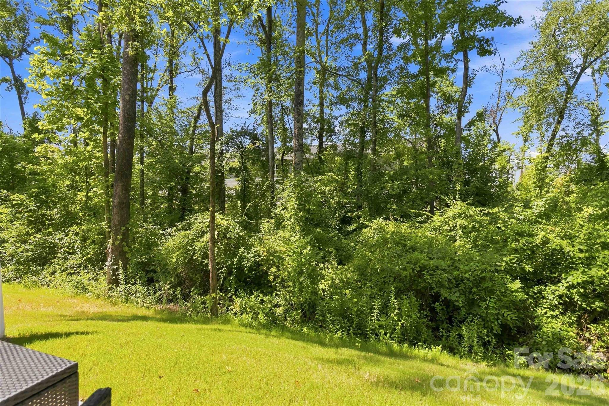5320 Somerset Hill Lane — Charlotte