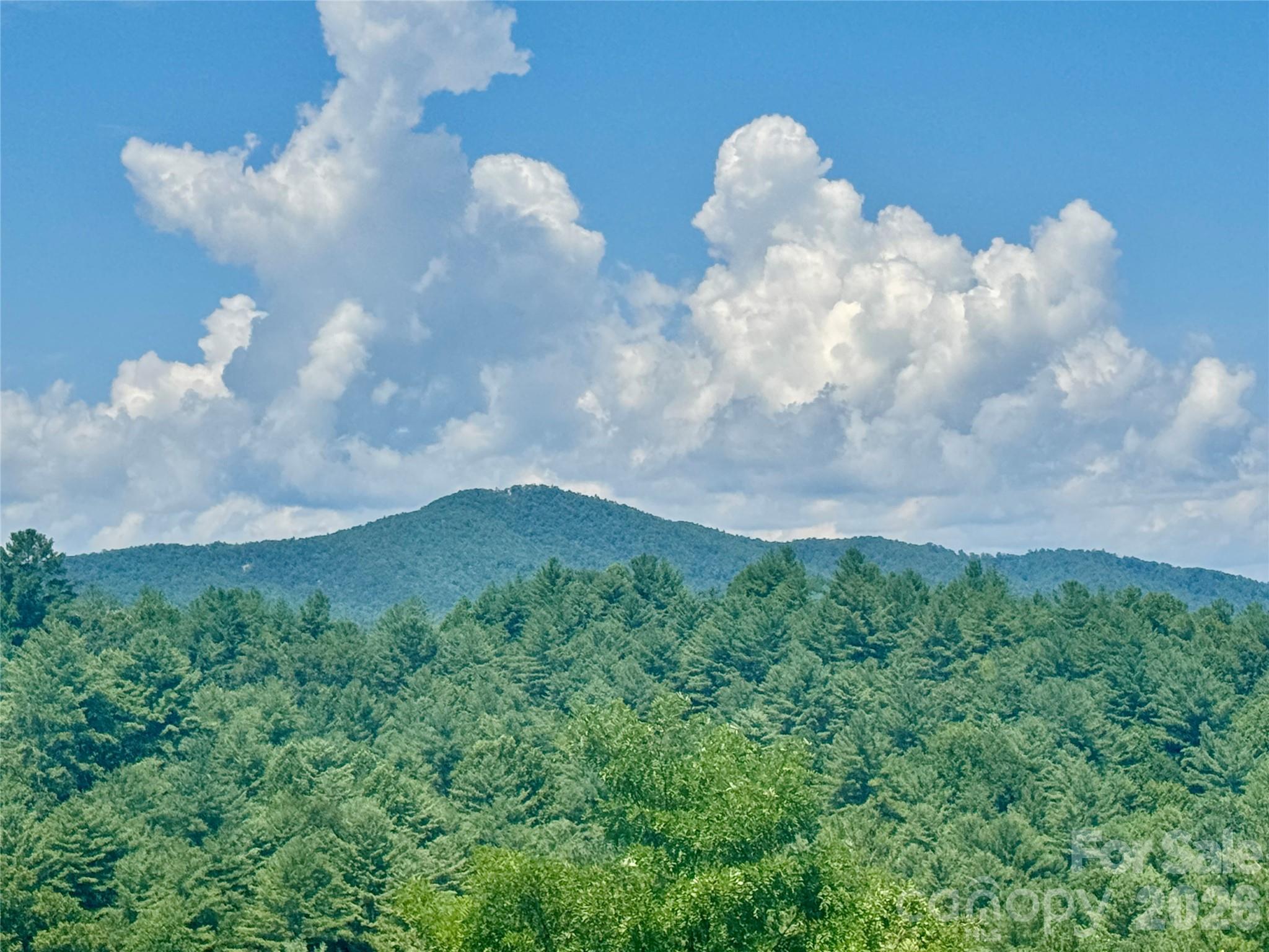 5504 Cedar Cove Way — Lenoir