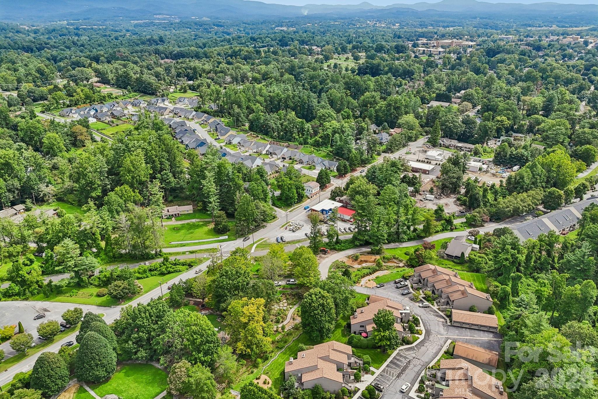 210 Juniper Lane — Hendersonville