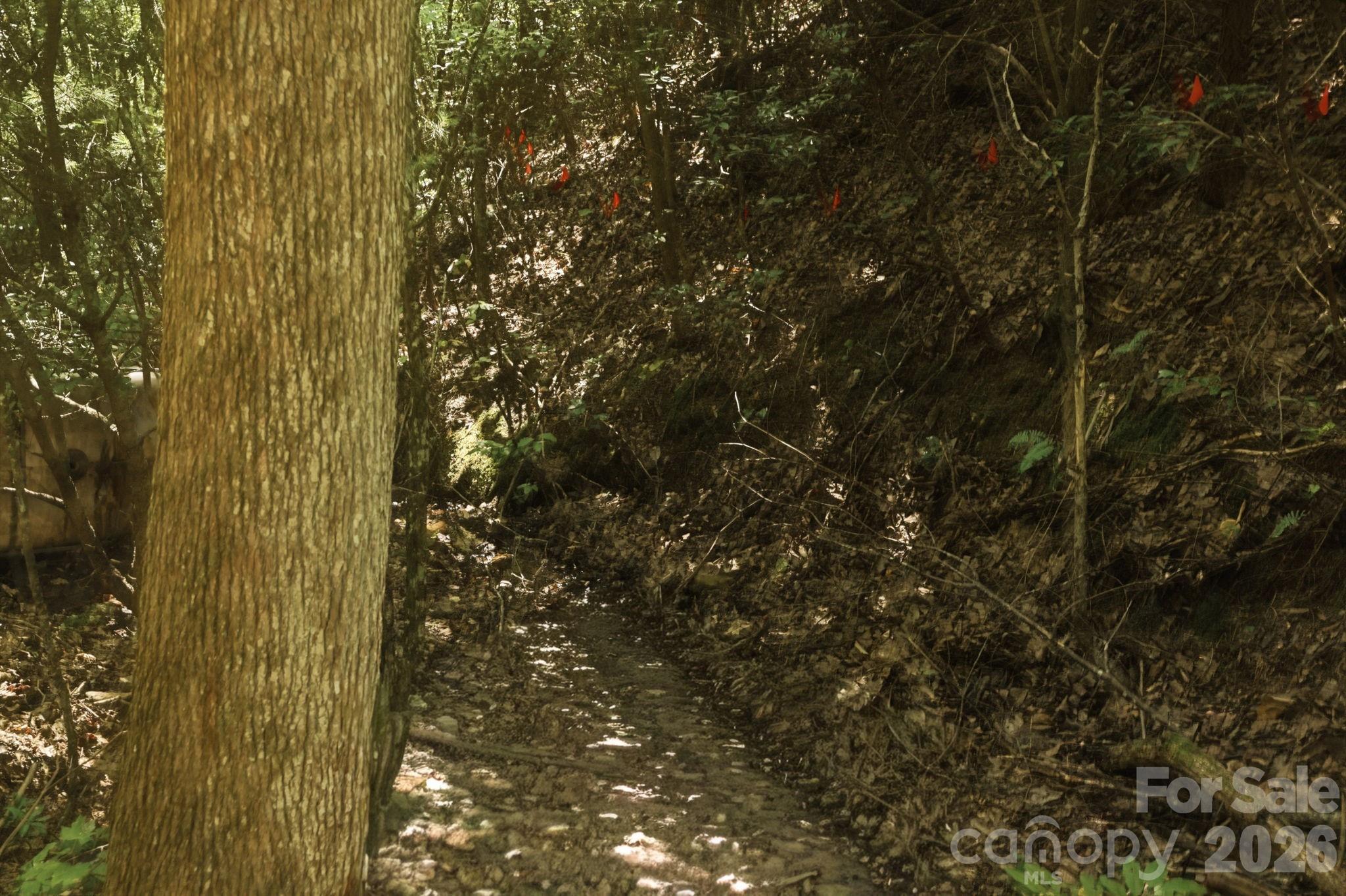 464 Mason Road — Ellenboro