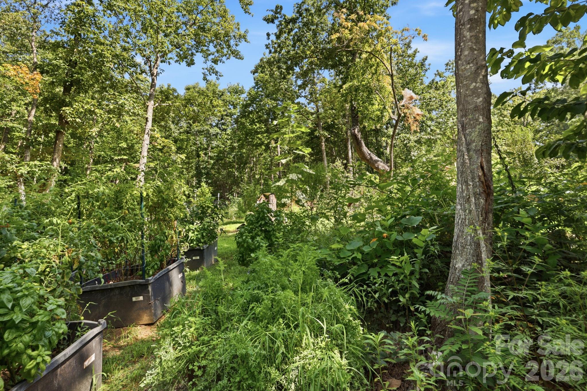 464 Mason Road — Ellenboro