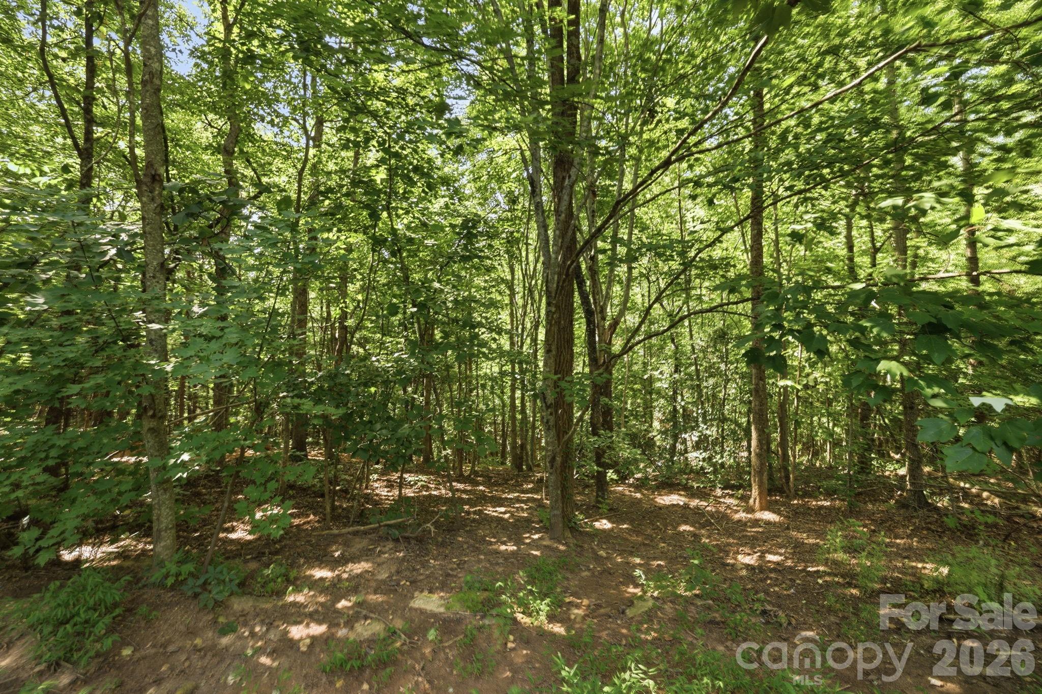 464 Mason Road — Ellenboro