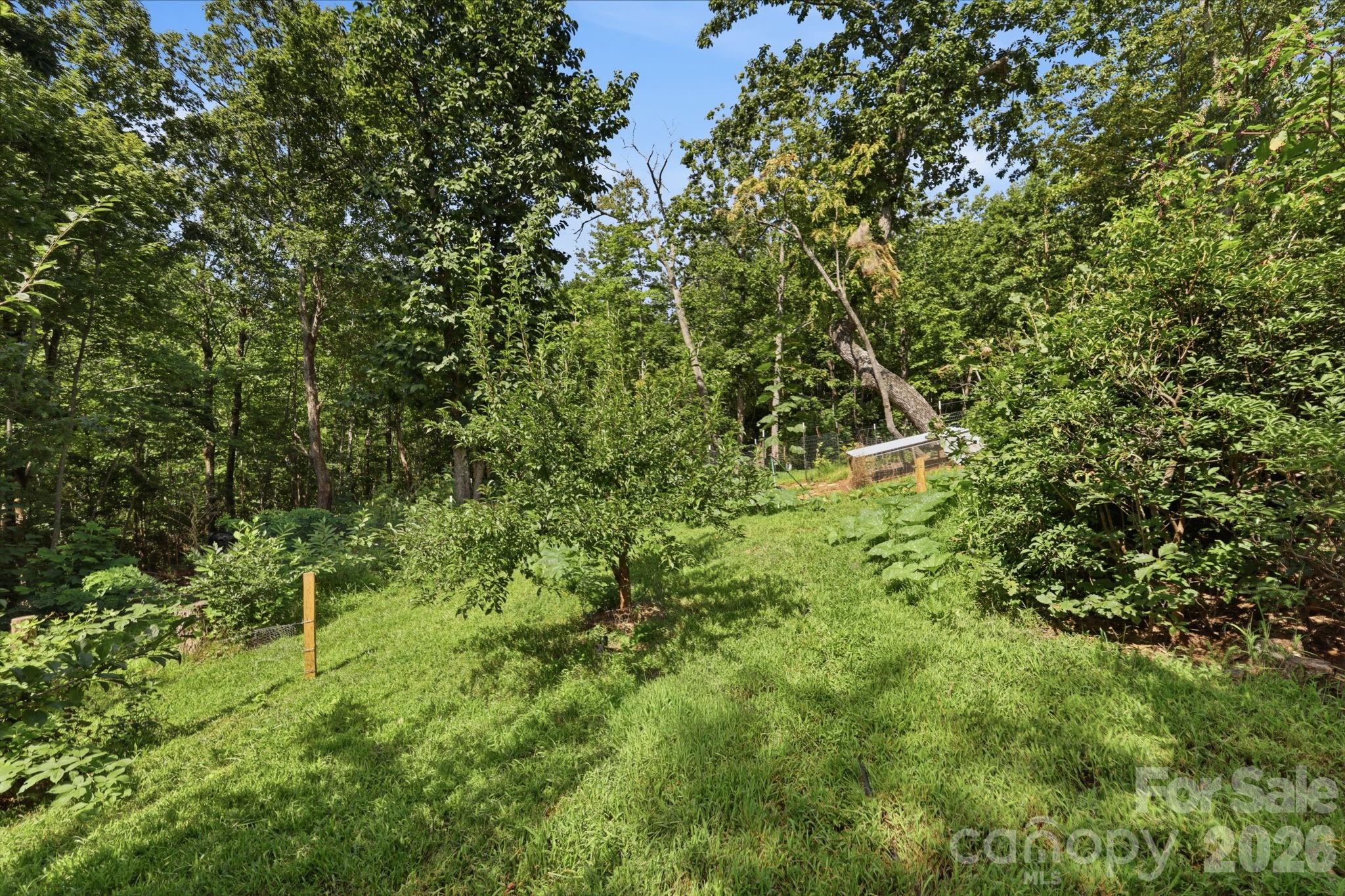 464 Mason Road — Ellenboro