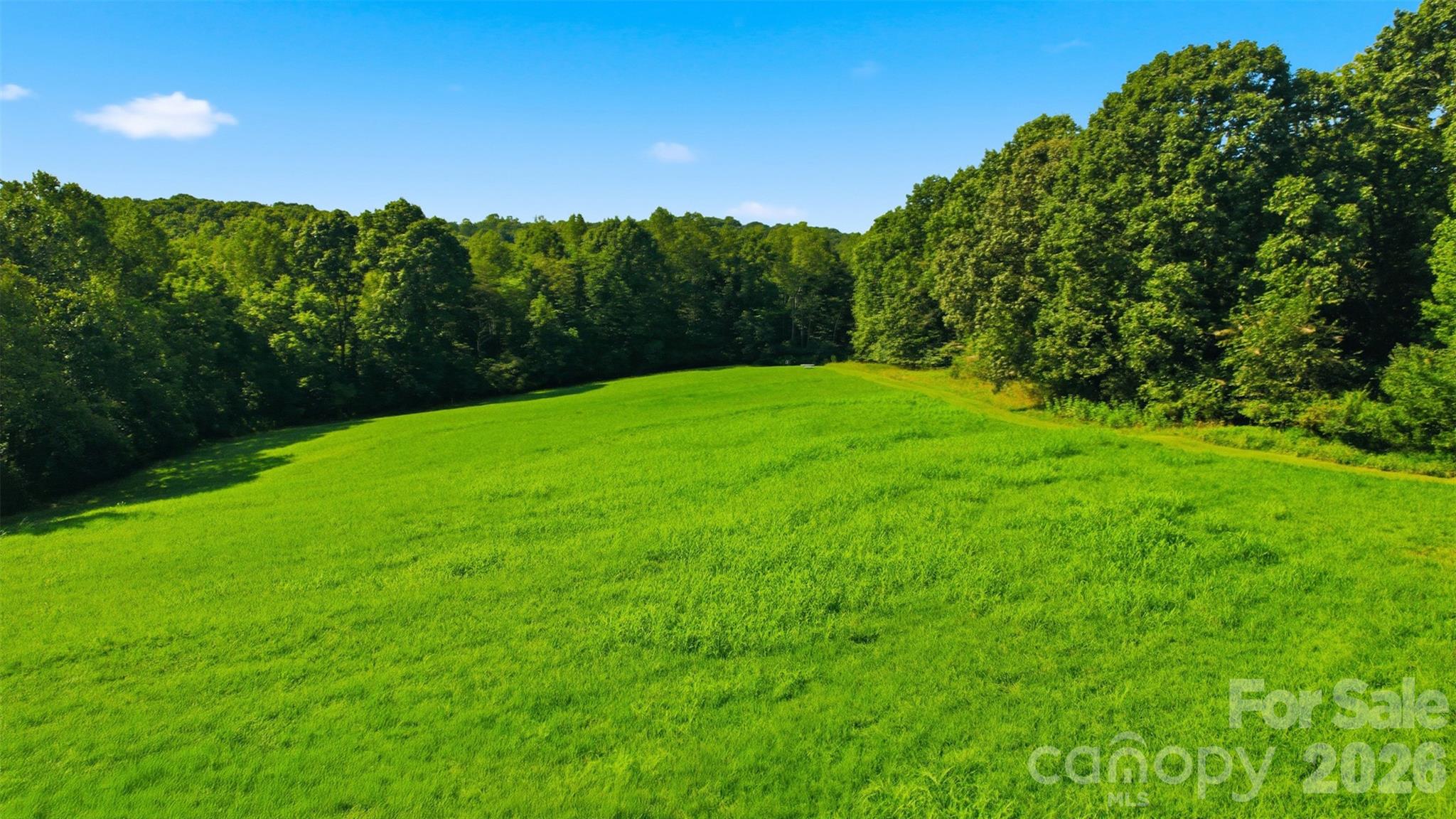 1910 Carl Fox Road — Taylorsville