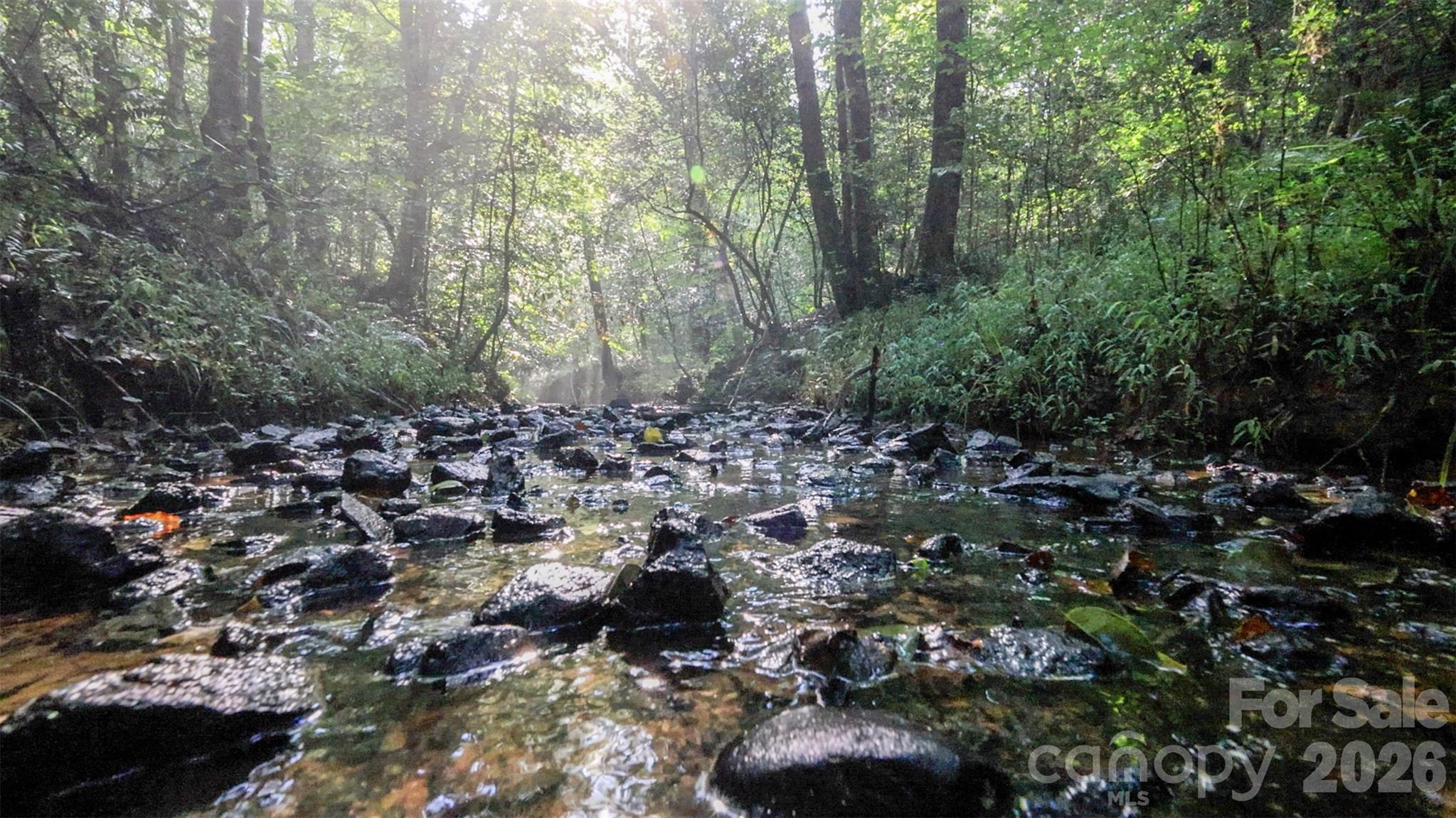 1910 Carl Fox Road — Taylorsville