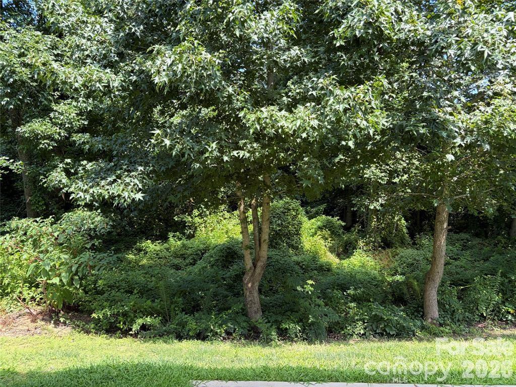 2628 Courtland Drive — Clover