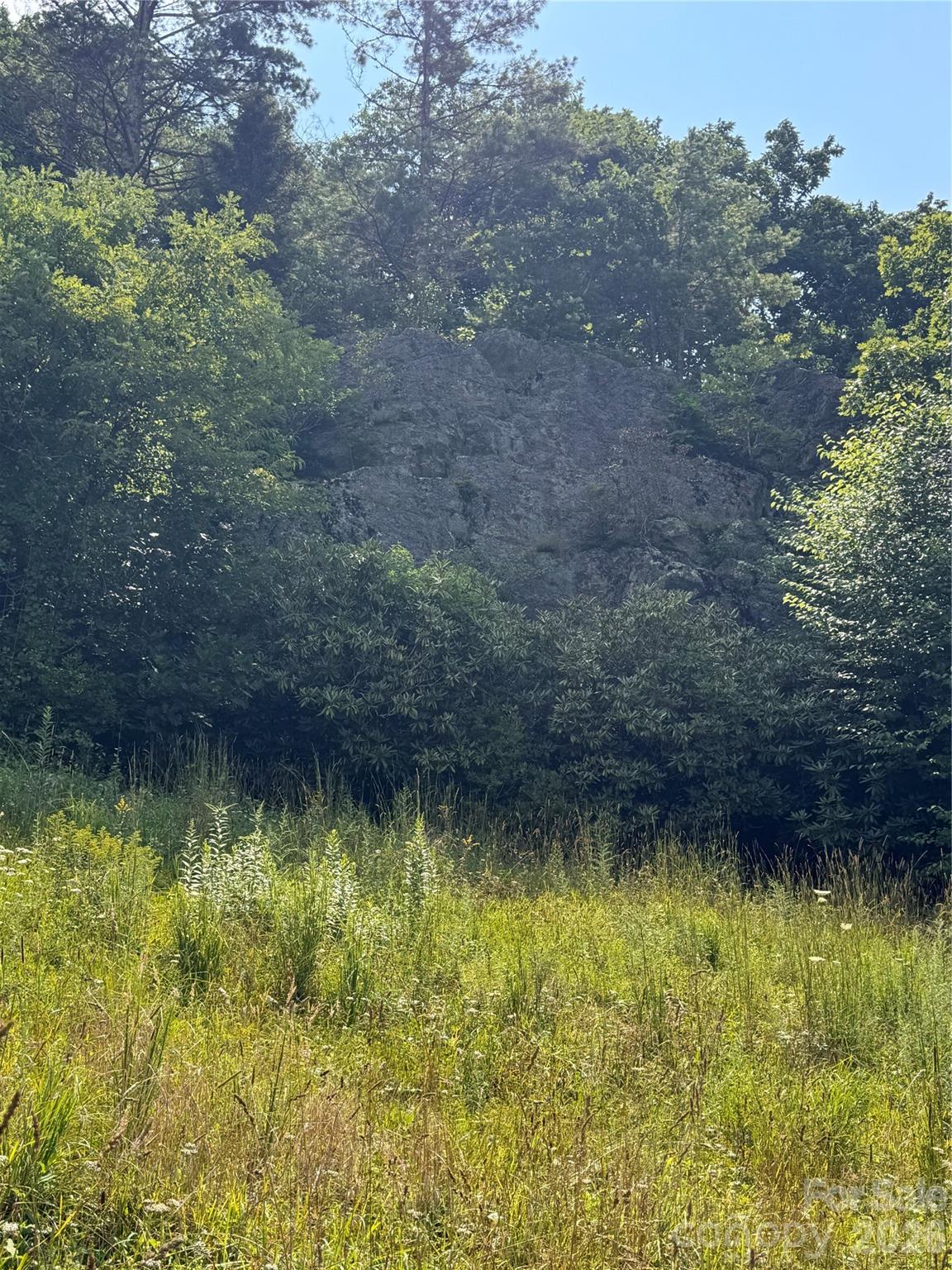 189 Old NC 181 Highway — Newland