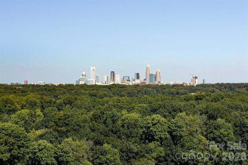 6152 Bridle Creek Drive — Charlotte