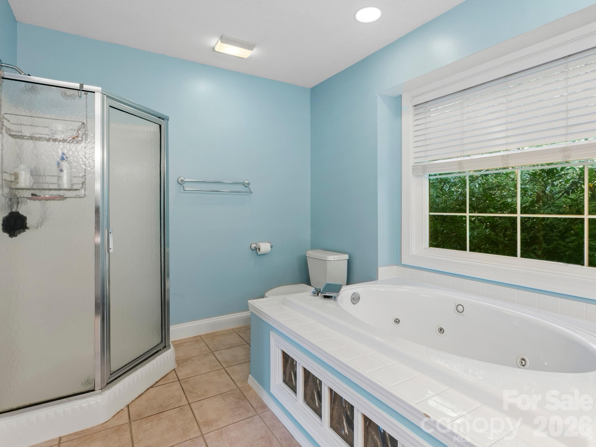 306 Golden Hawk Trail — Asheville