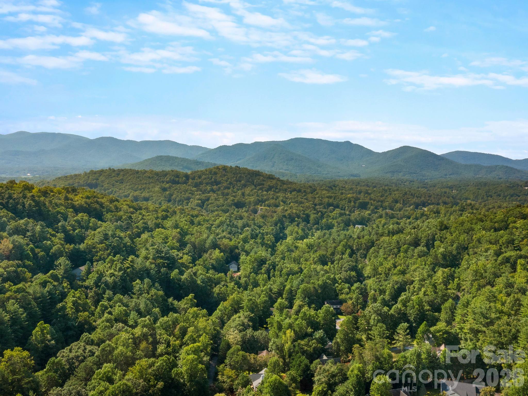 306 Golden Hawk Trail — Asheville